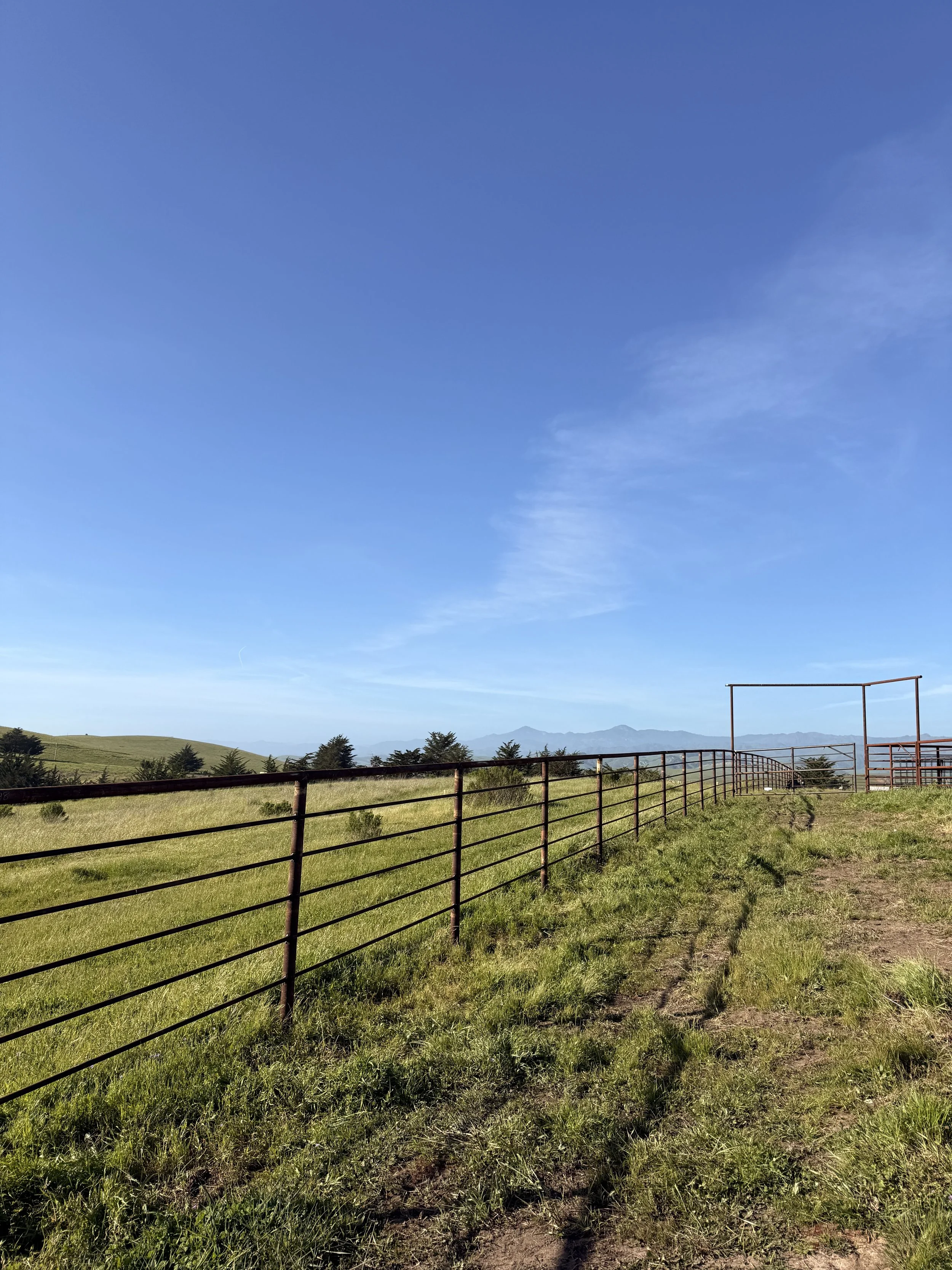 Custom pipe fence paso robles