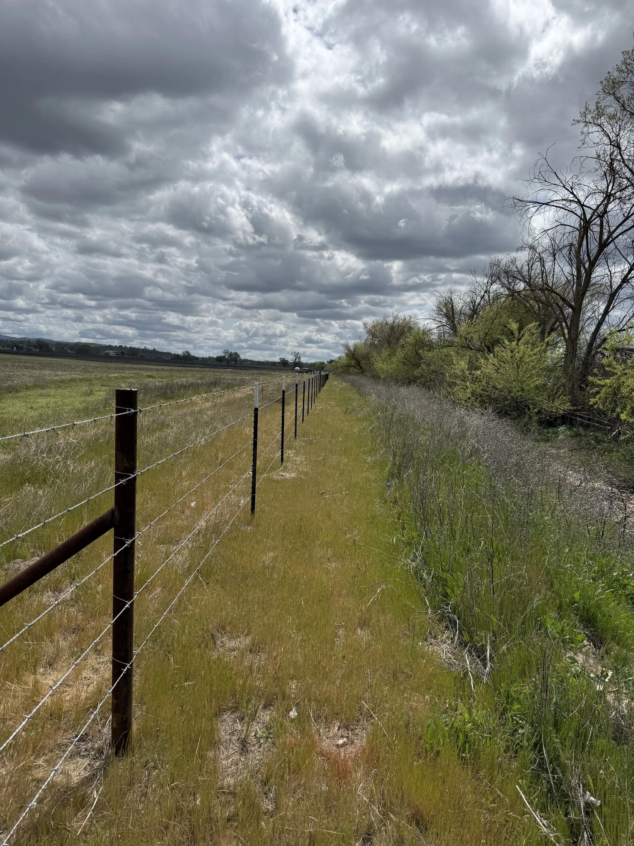 Ranch Fence Creston