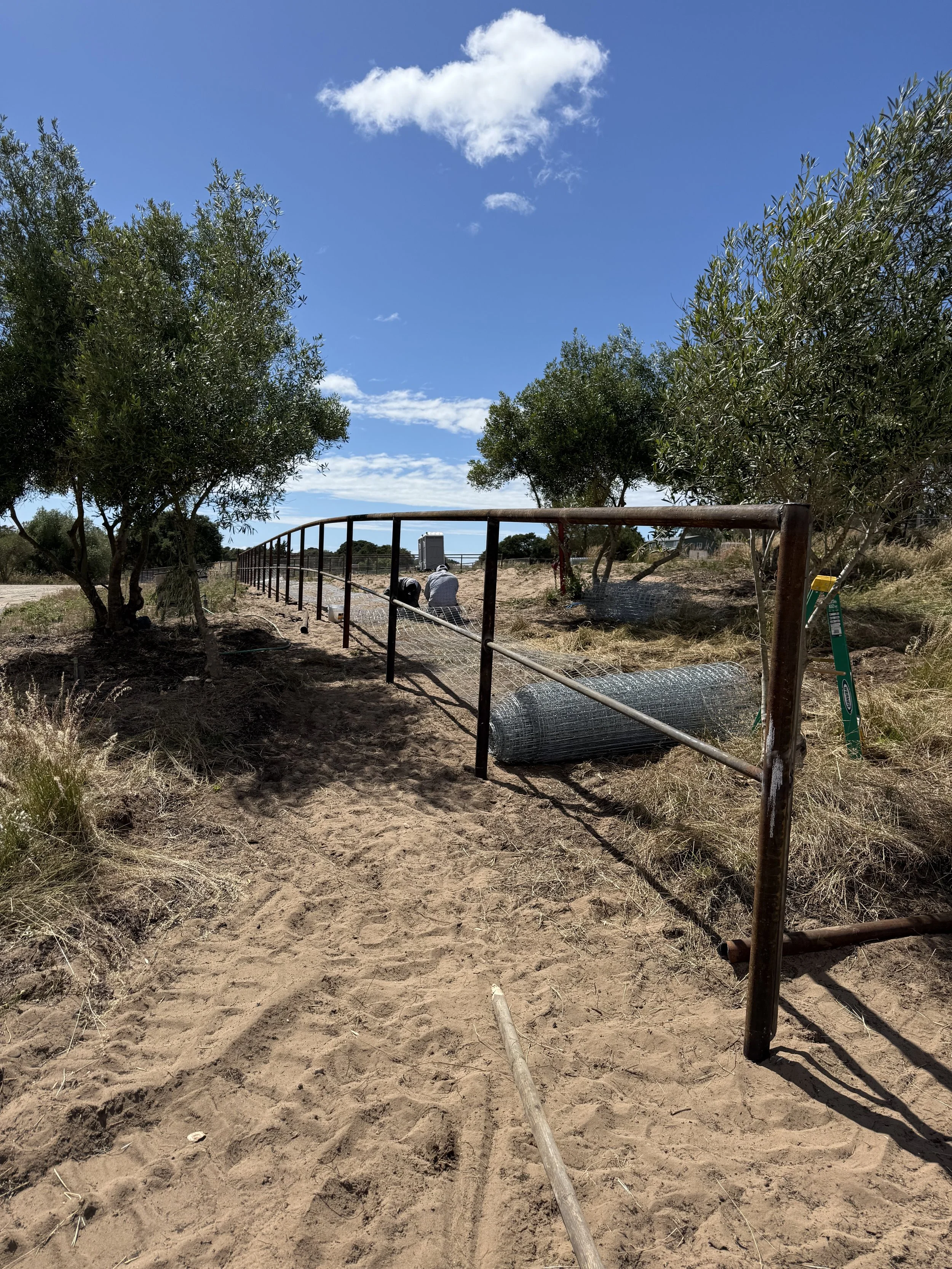 Pipe fence being built in Buelton