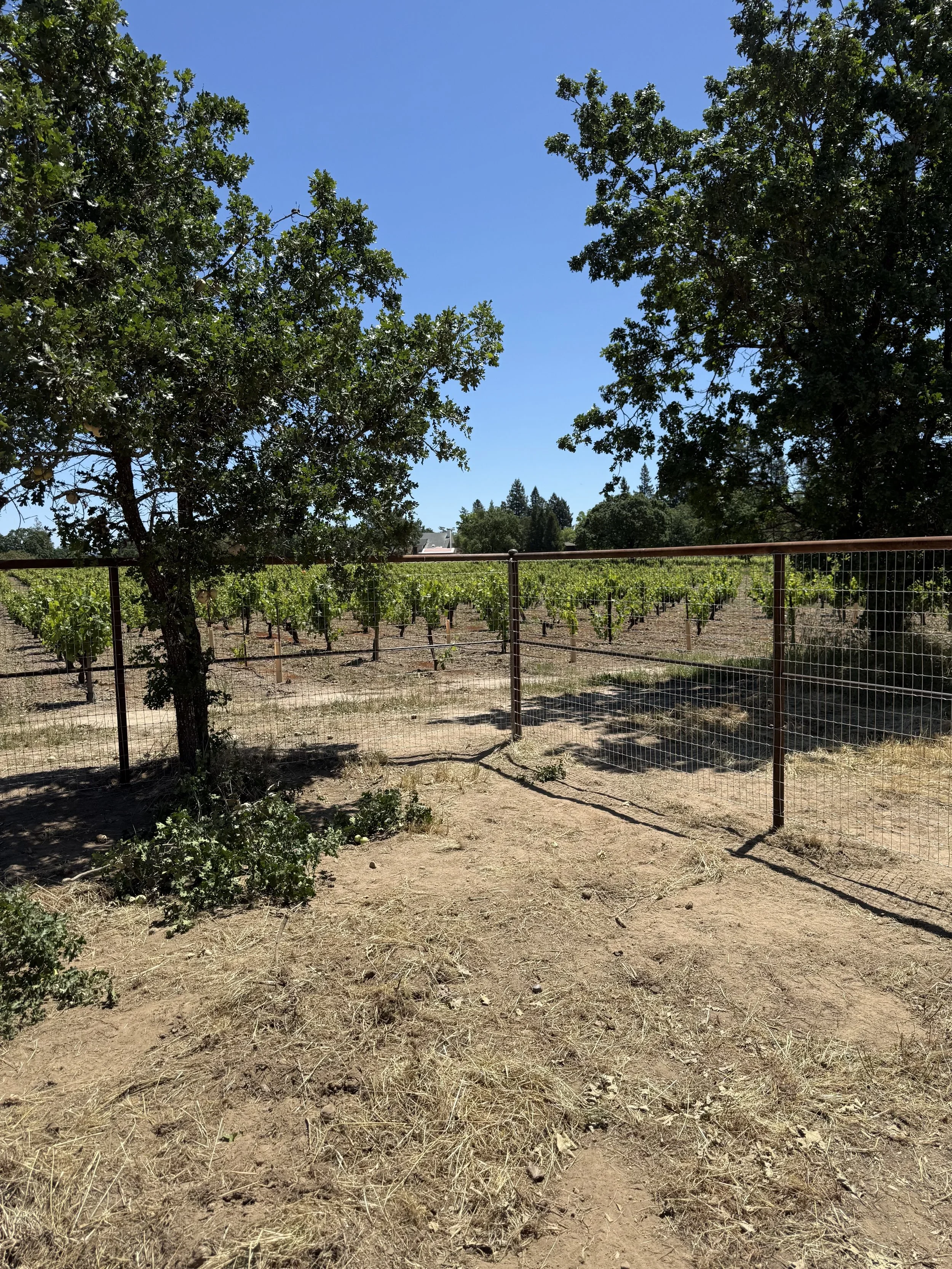 Non-climb Horse Fence 