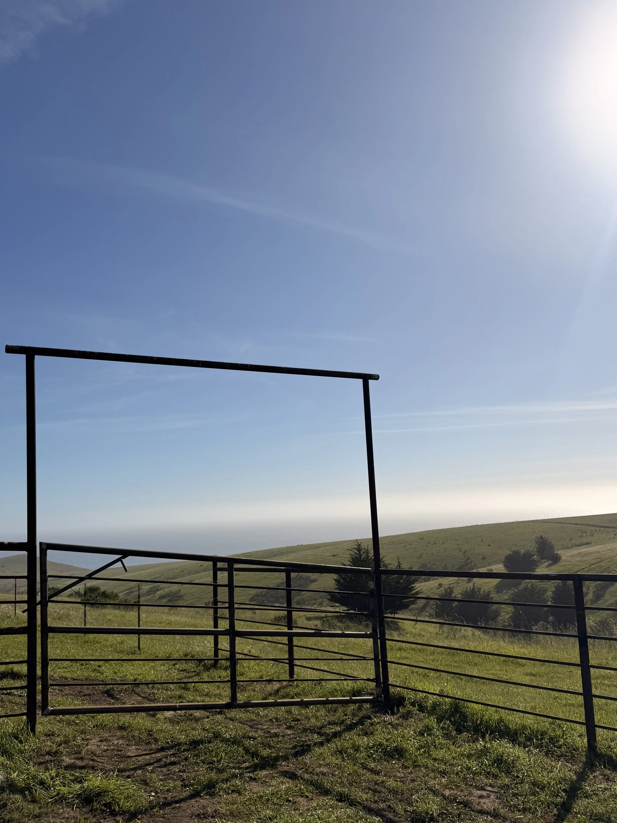 Custom corrals cambria 