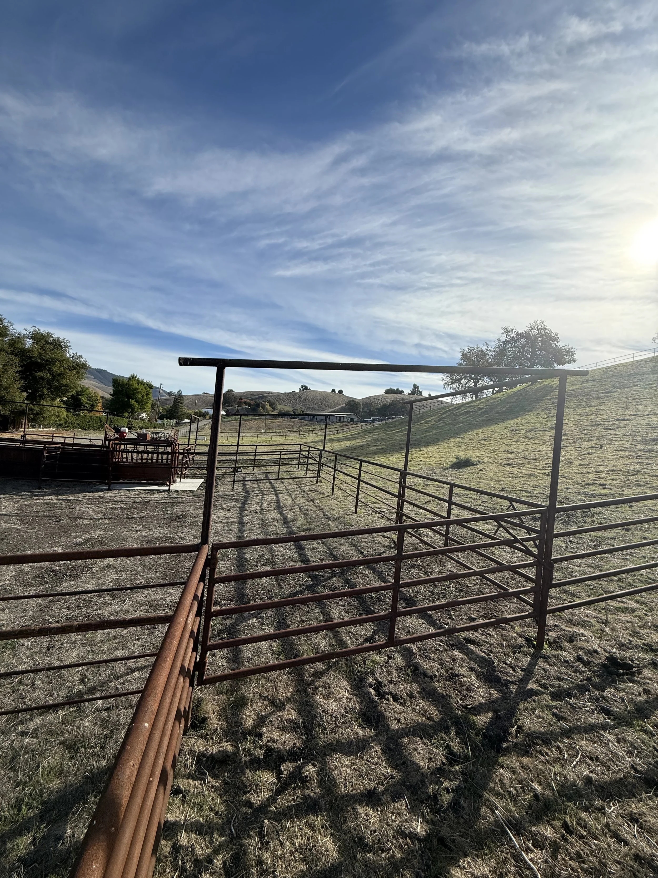 Custom corrals pipe templeton
