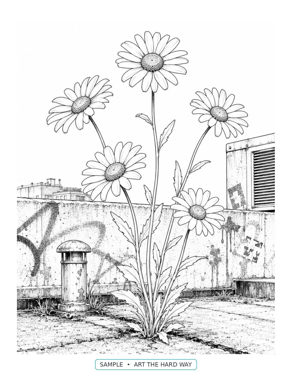 Urban_Bloom_03_sunflower_and_graffiti.jpg