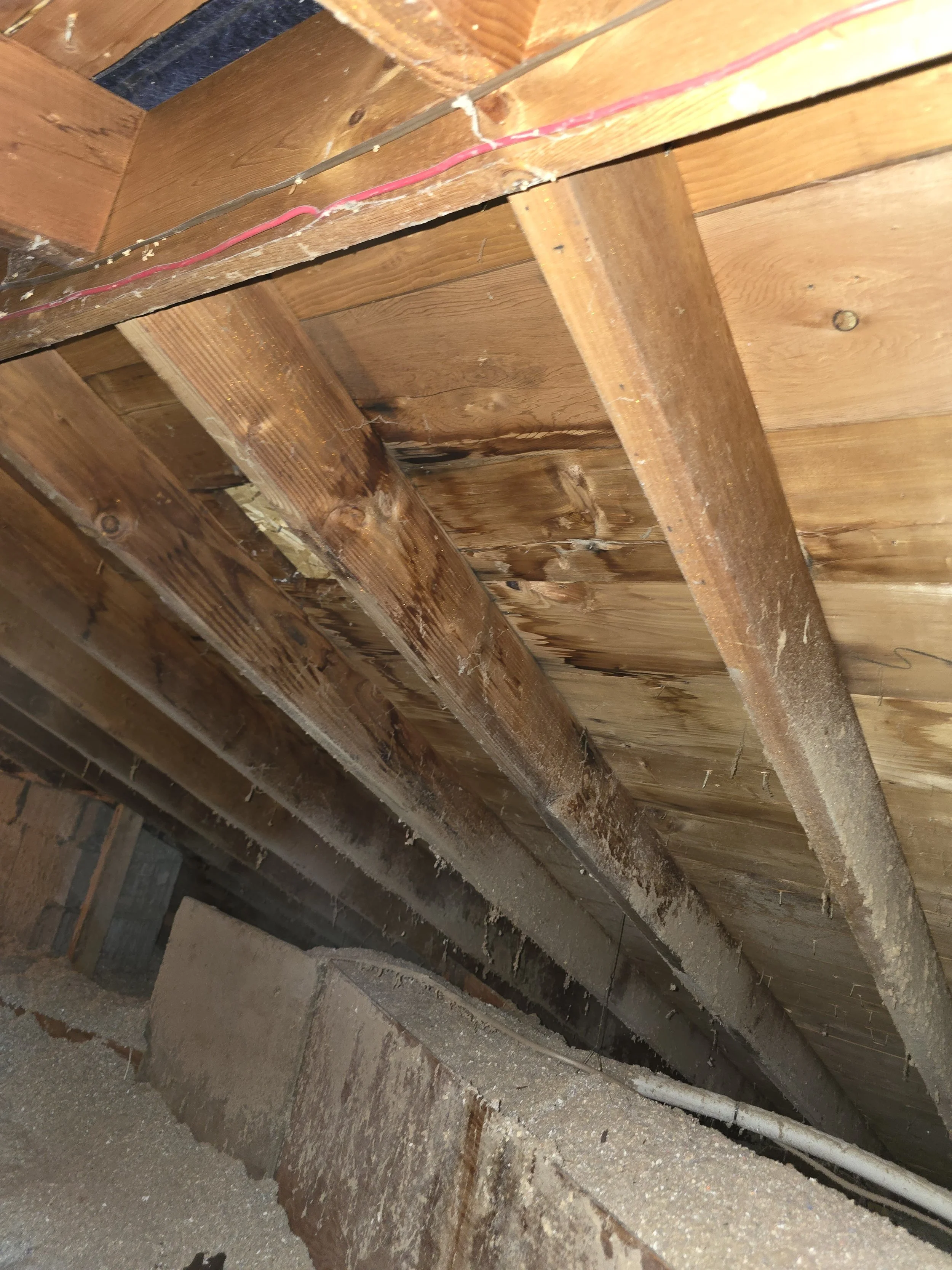 Wooden ceiling framing with electrical wiring and visible signs of water damage or mold.