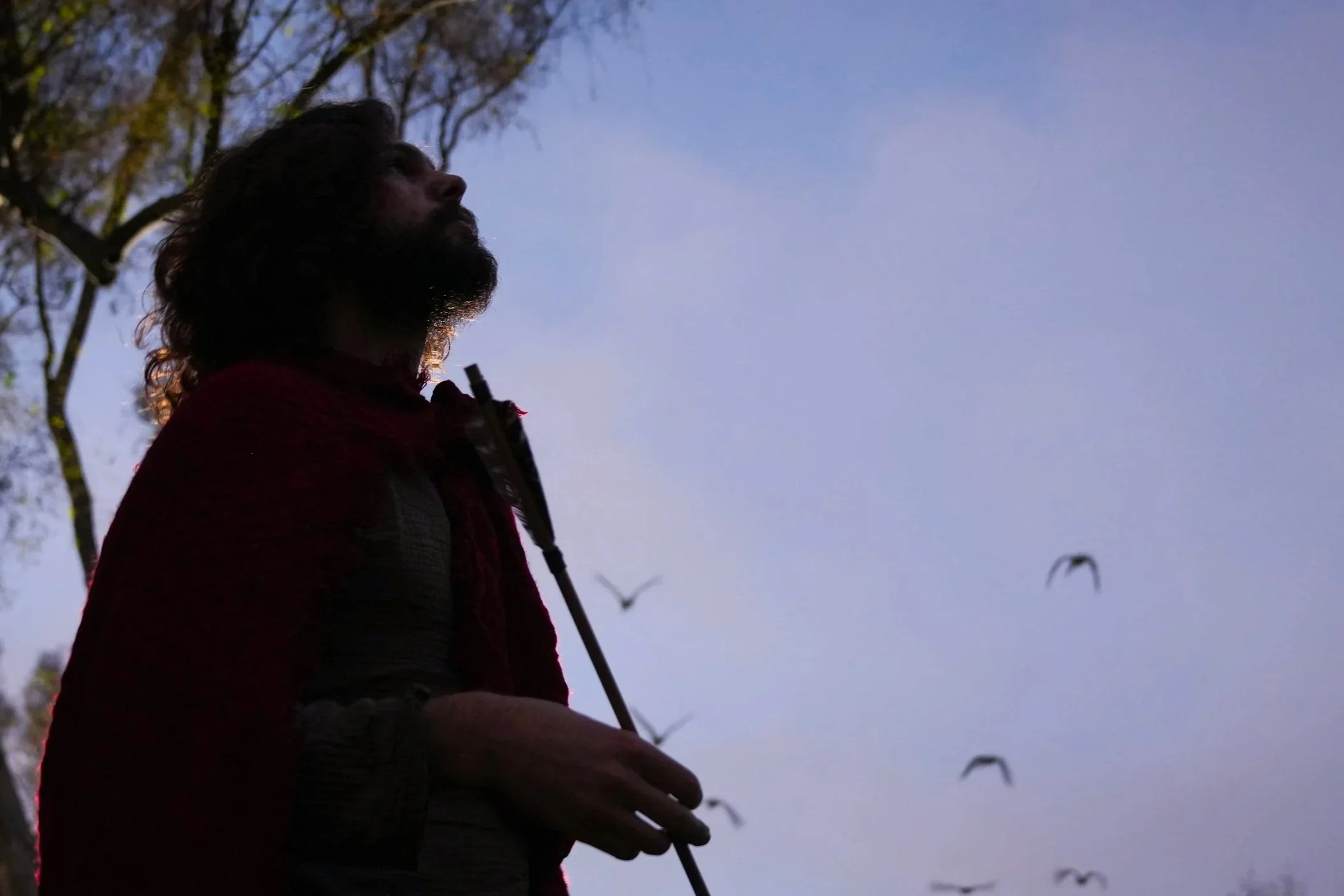 A person with long curly hair and a beard, wearing dark clothing, stands outdoors during dusk or dawn, holding a stick or walking staff, with trees and birds flying in the background.