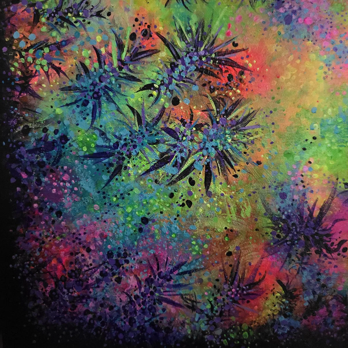 A Splash of Colour close up shot