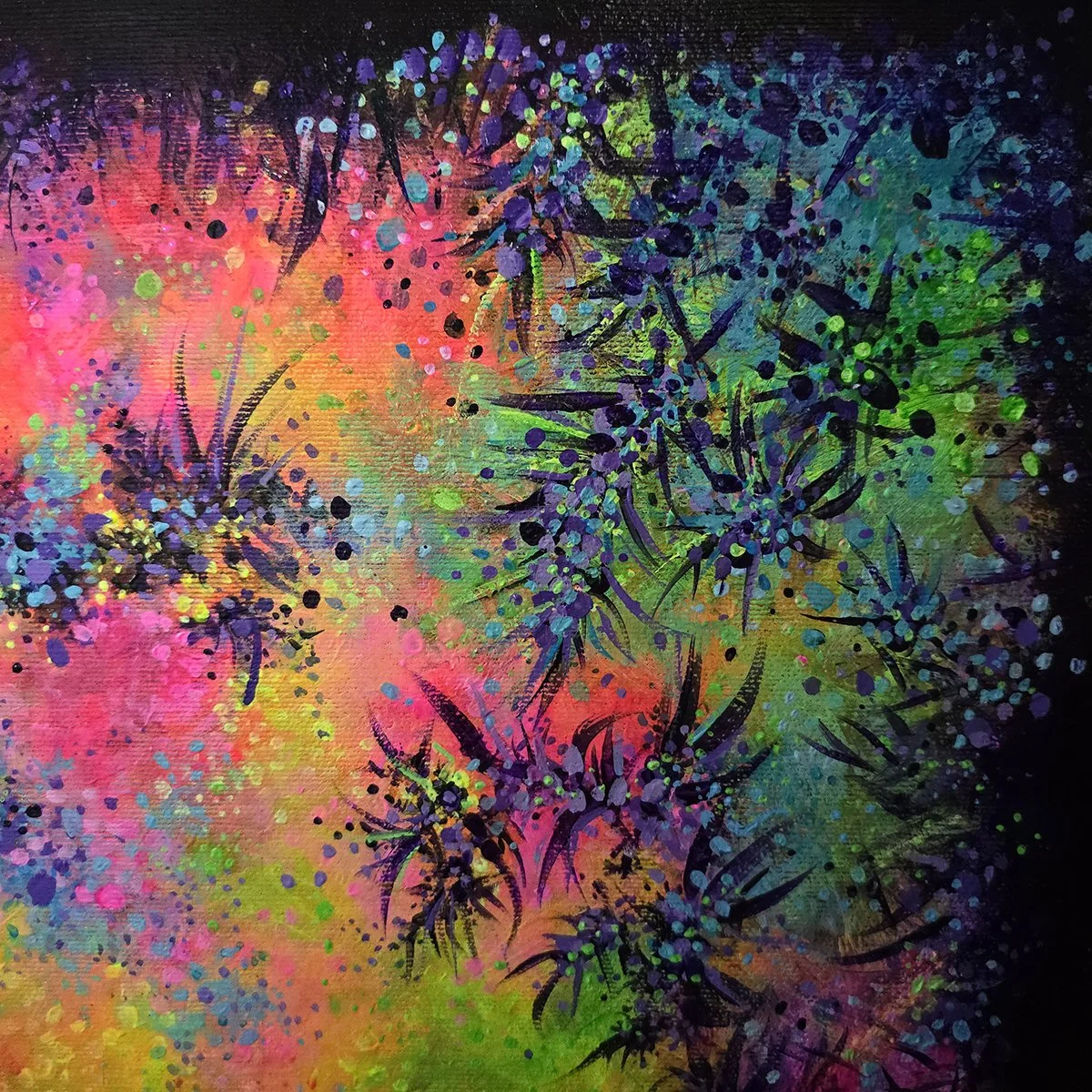 A Splash of Colour close up shot