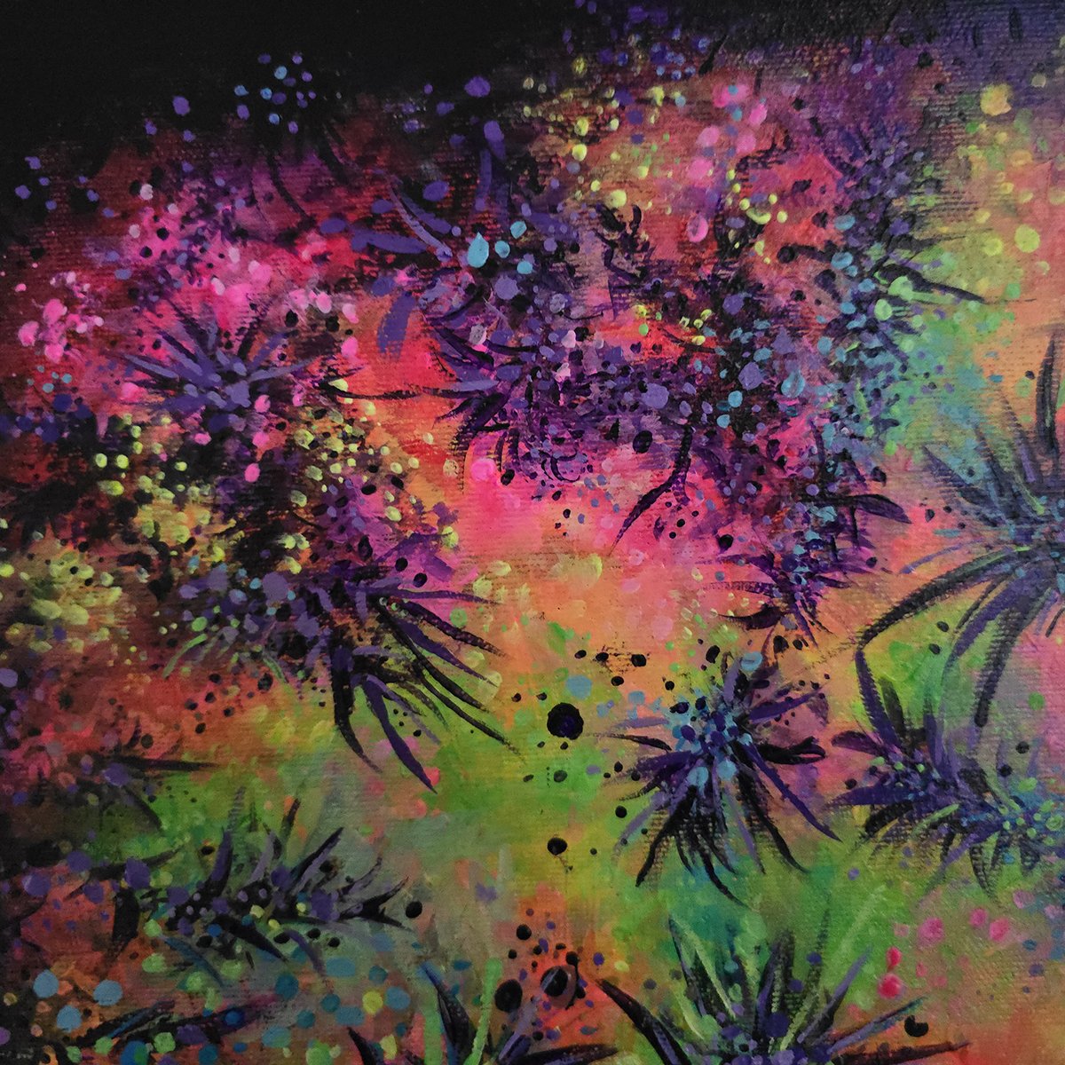 A Splash of Colour close up shot