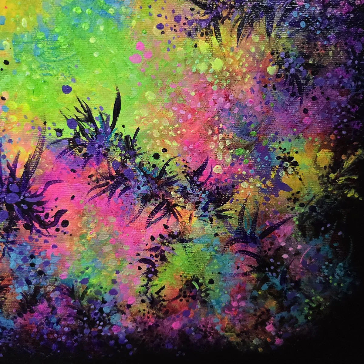 A Splash of Colour close up shot