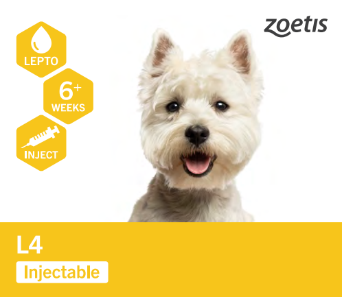 Leptospirosis Vaccine