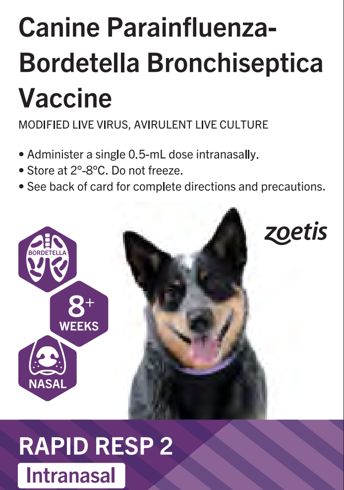 Bordetella Vaccine