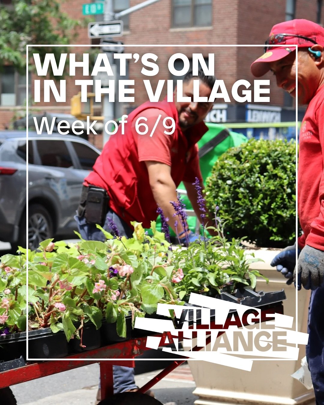 See What&rsquo;s On in the Village this week! ➡️

#GreenwichVillage #NYC #TheVillage #WhatsOn #EastVillage #WestVillage #AstorPlace #SaintMarksPlace