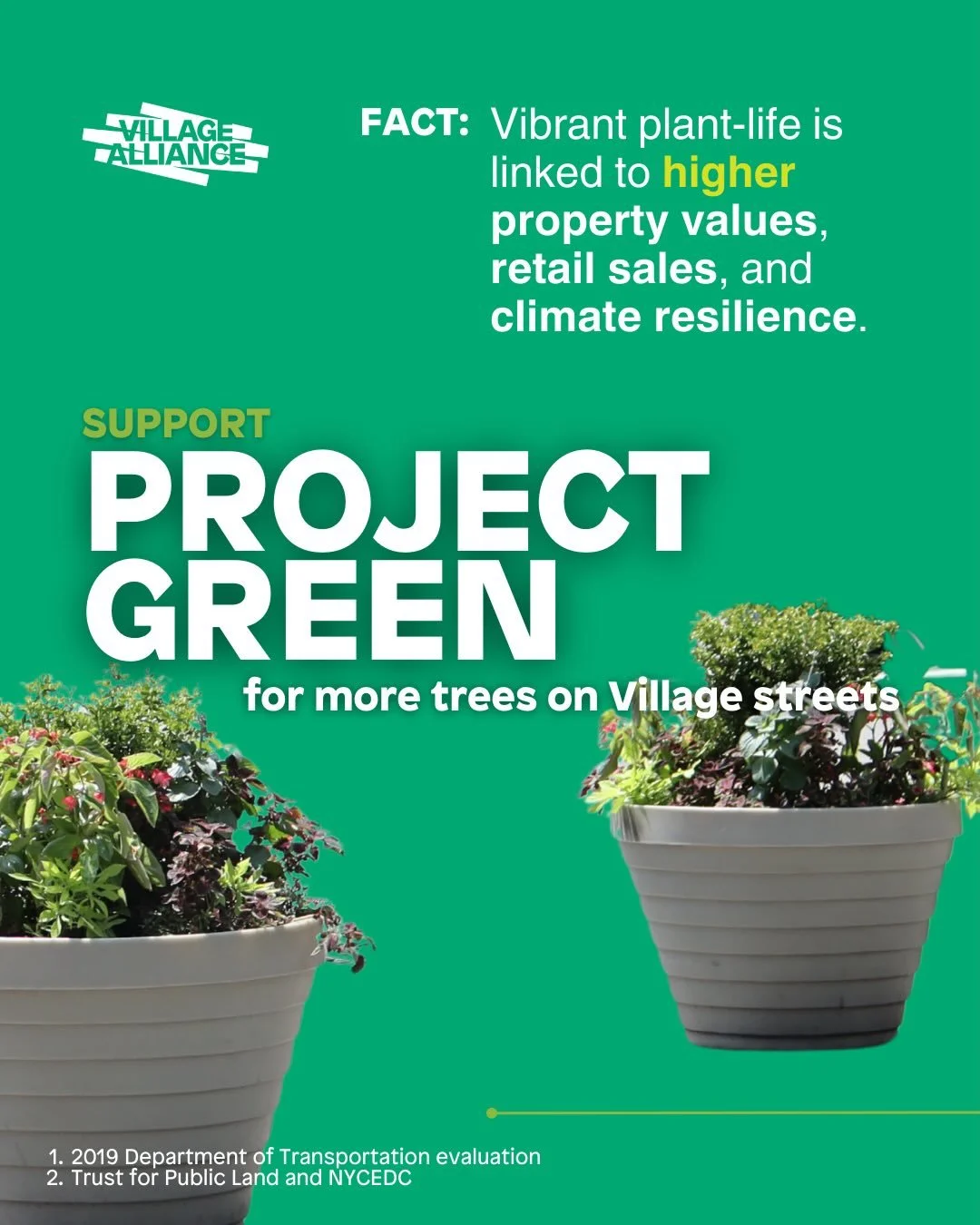 Greenwich Village could use more green&hellip; 🐸🌿Donate today to make a year-end contribution for &lsquo;26 trees (and planters &amp; perennials)&hellip;

🌸Link in bio🔗