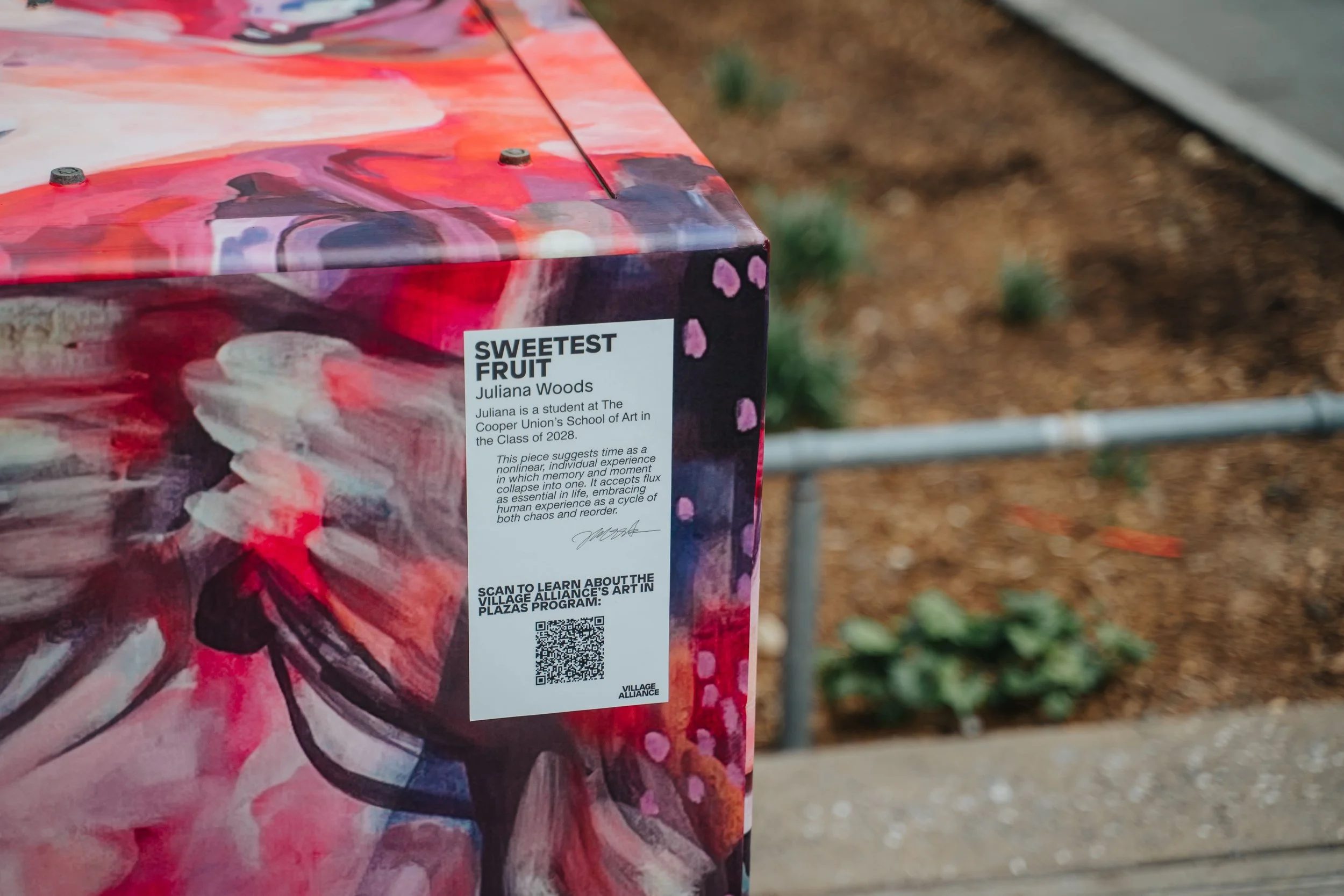 05132025 Village Alliance_205511.jpeg