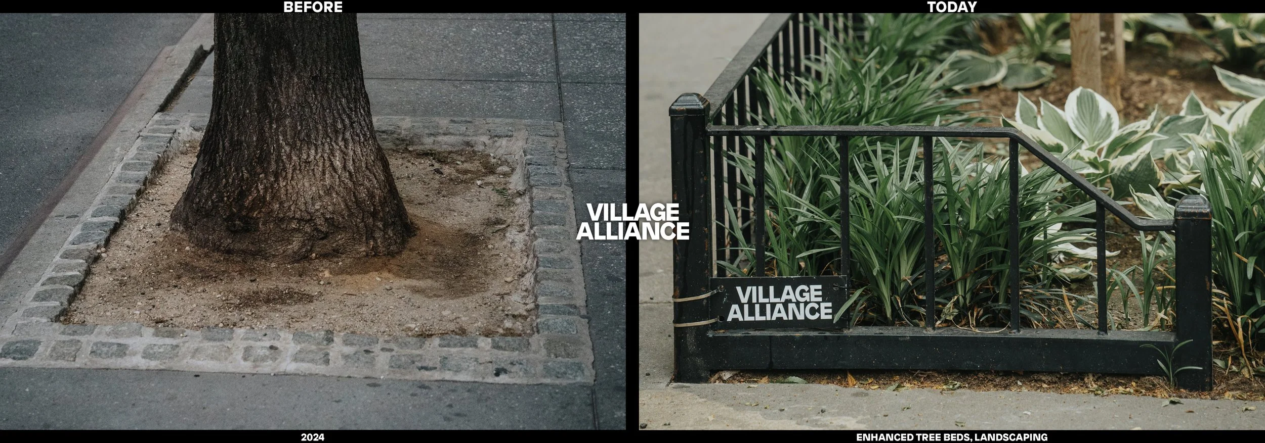 Before and After Village Alliance Services_Page_17.jpg