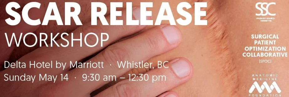 Surgical Patient Optimization Collaborative (SPOC) Scar Release Workshop