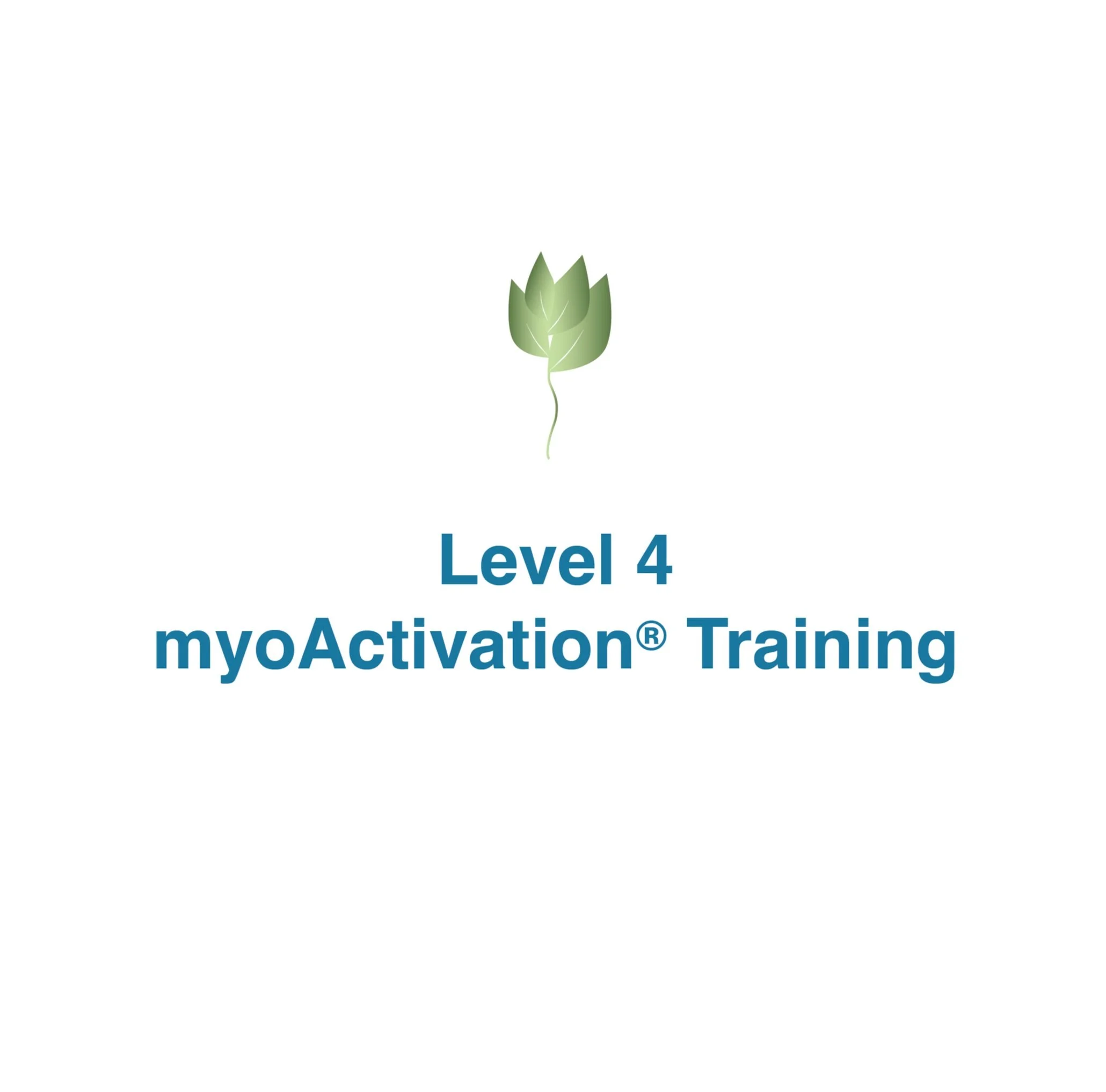 Level 4