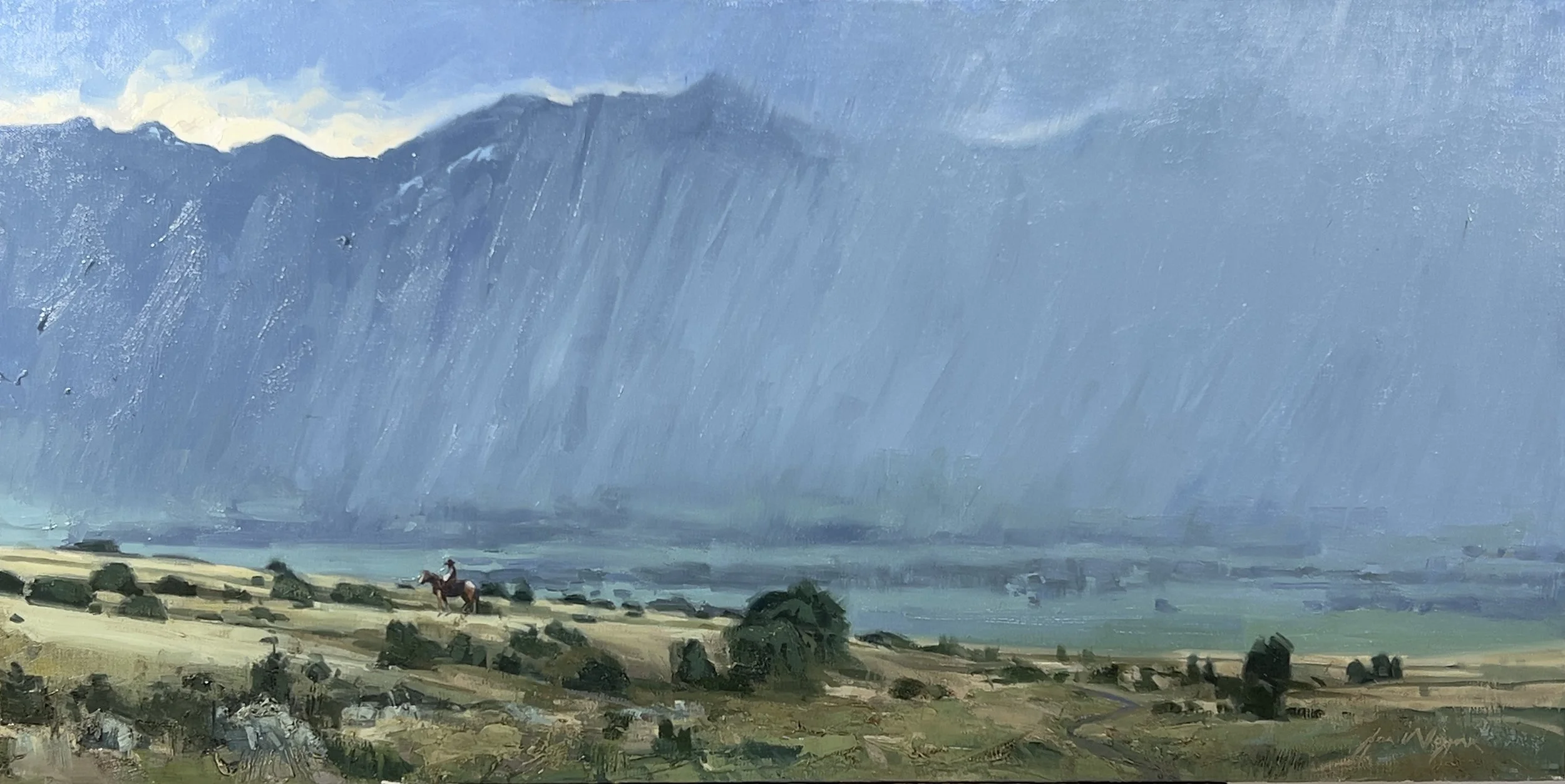 "A Rider on the Storm"
24x12, oil
$2300