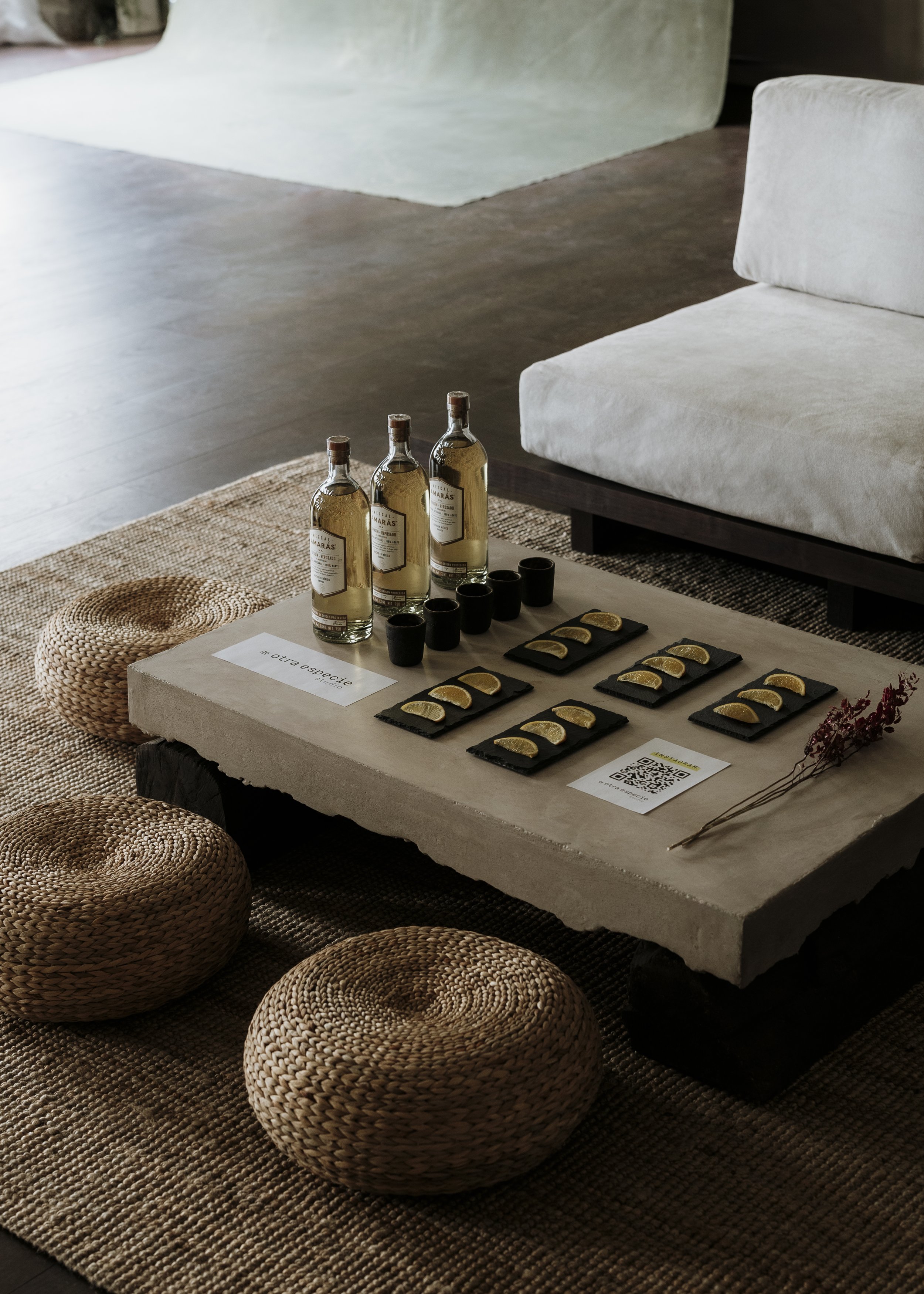 2025-02-15 - De Otra Especie - Montaje - Open Studio.jpg