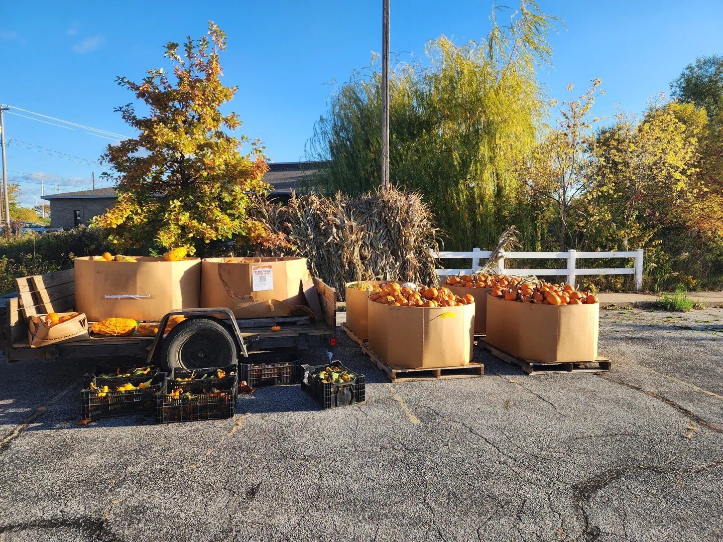 🎃 Pay What You Can Pumpkin Patch! 🎃
Come on down to United Way of the Lakeshore, 31 E Clay Ave, Muskegon — and take what you need! With just two days until Halloween, it’s the perfect time for a fun family pumpkin painting day. (This p