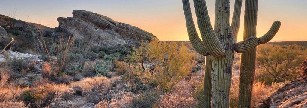 The Wild West: Tucson in the spring of 2023