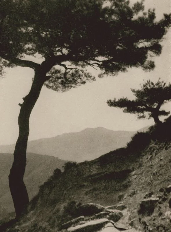 Our Evolution is the Revolution of Freedom