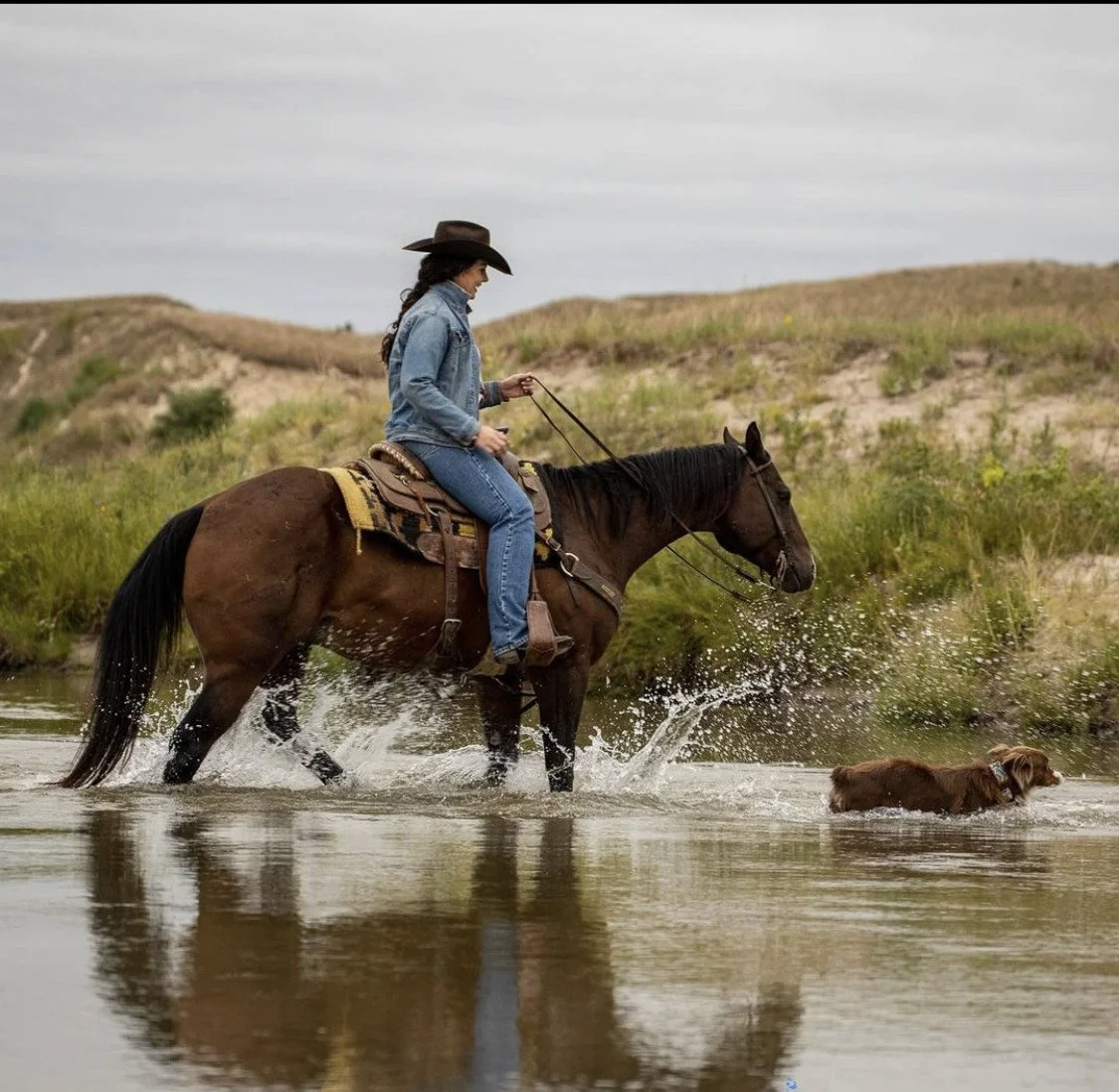 Cowgirl riding a horse through a shallow river with a dog swimming beside them
