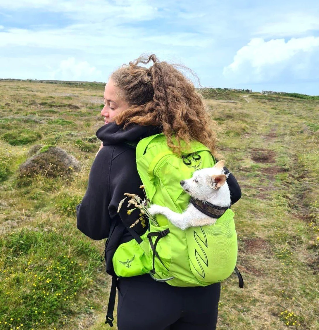 Lady in nature holding a Jack Chi dog in her green backpack