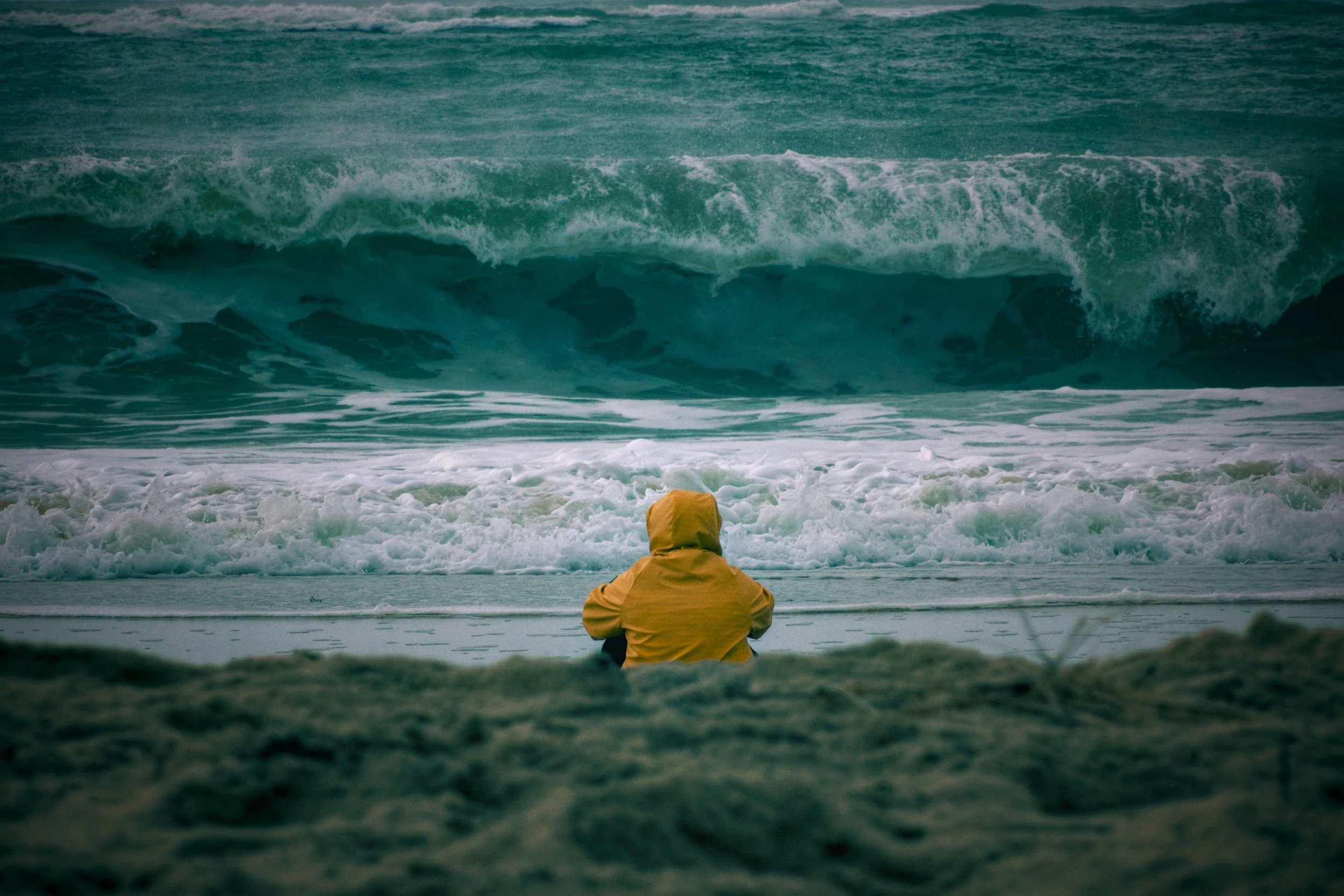 Why Pet Loss Grief Waves Happen Suddenly and What to Do