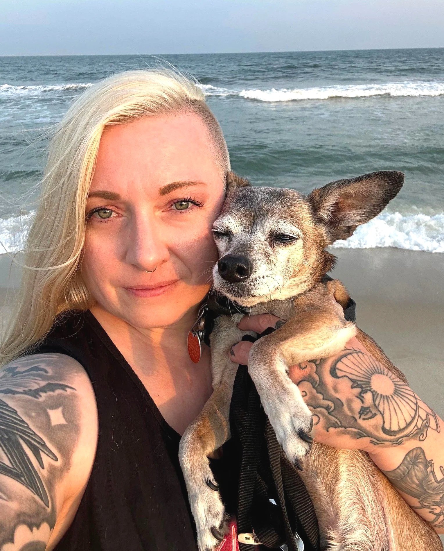 Lady at the beach holding a Chihuahua mix dog