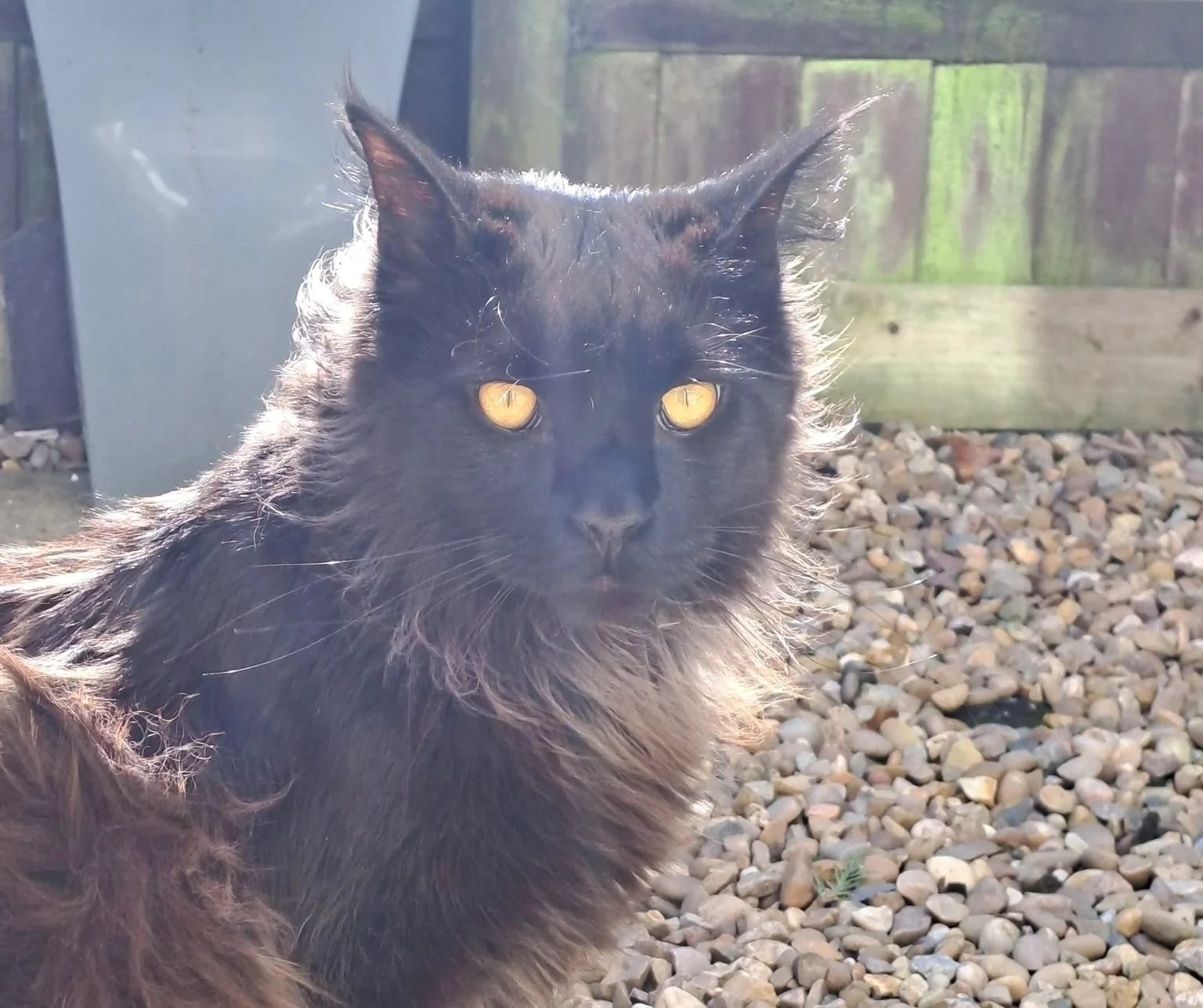 IMG-20240814-WA0000 - rich edward.jpg