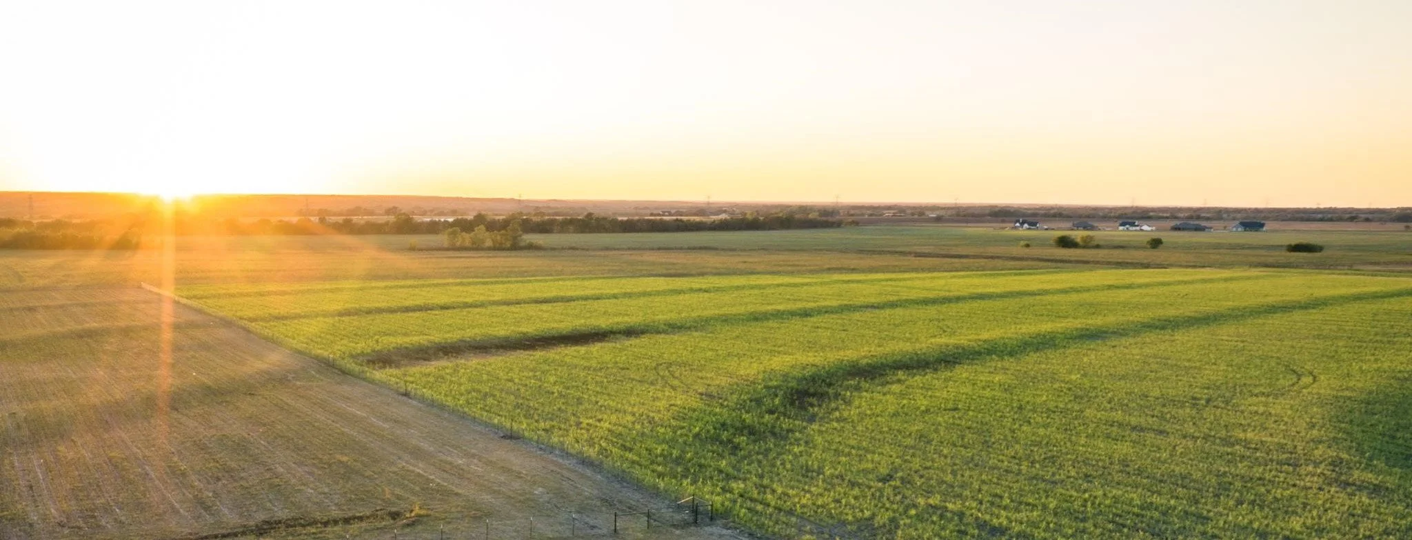 Porter 2 website.JPG