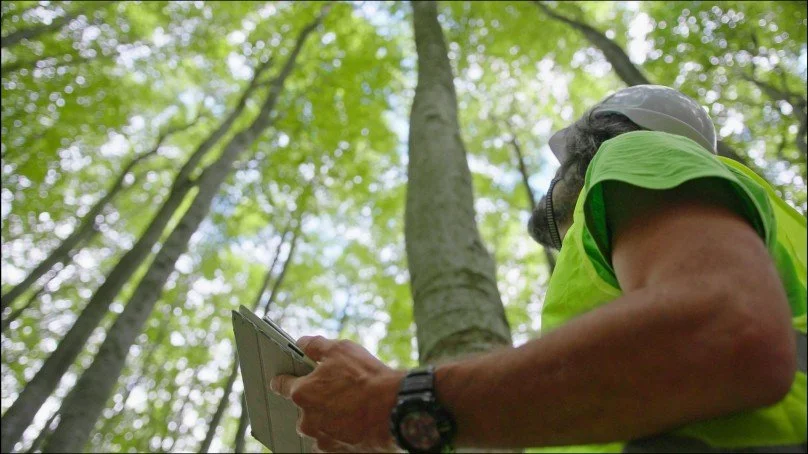 A worker wearing a green safety vest, helmet, and mask in a forest, looking at a tablet.