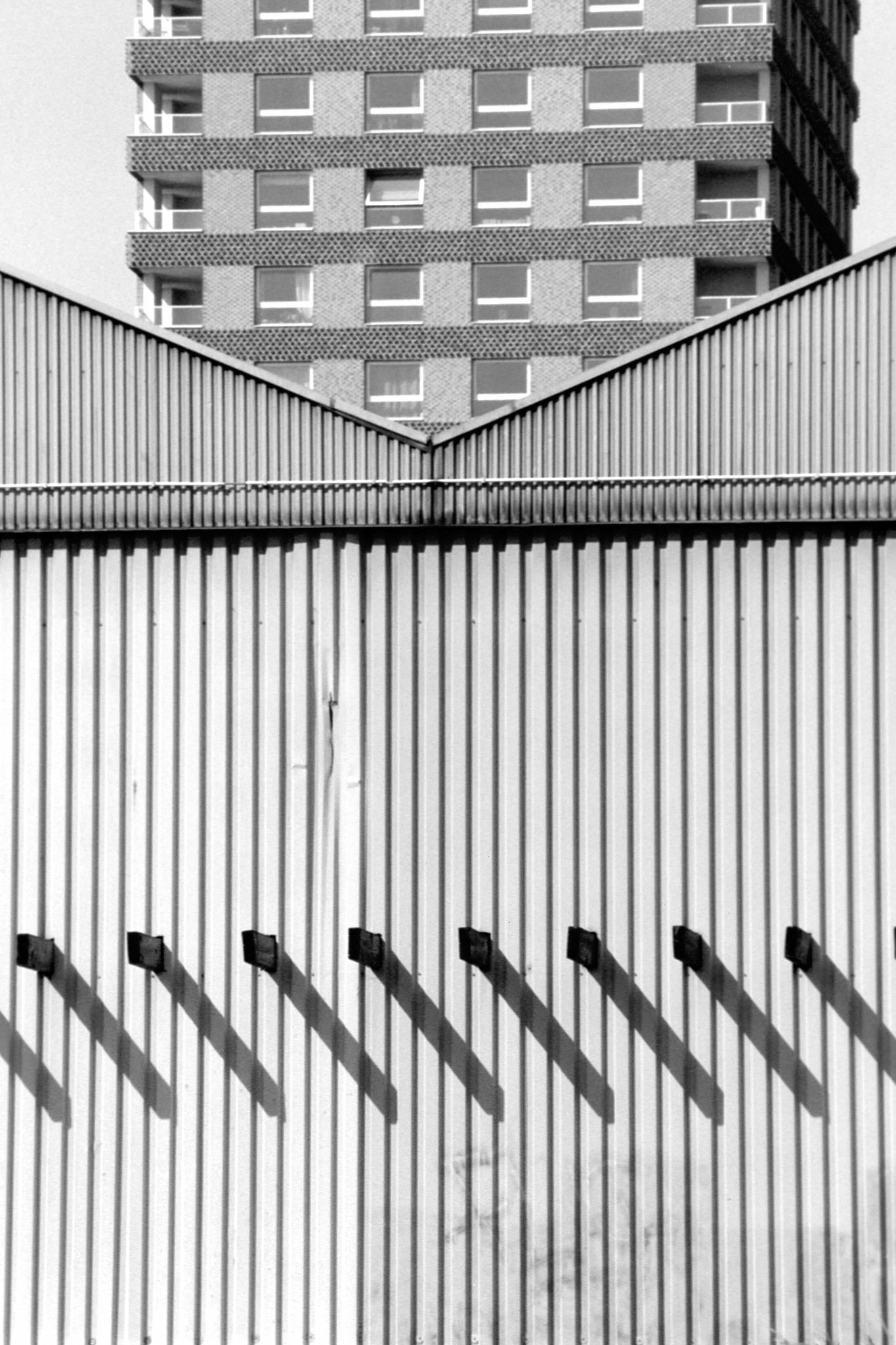 F1E-fomapan200-0504-Apr 19 2023 Mesnil3.jpg