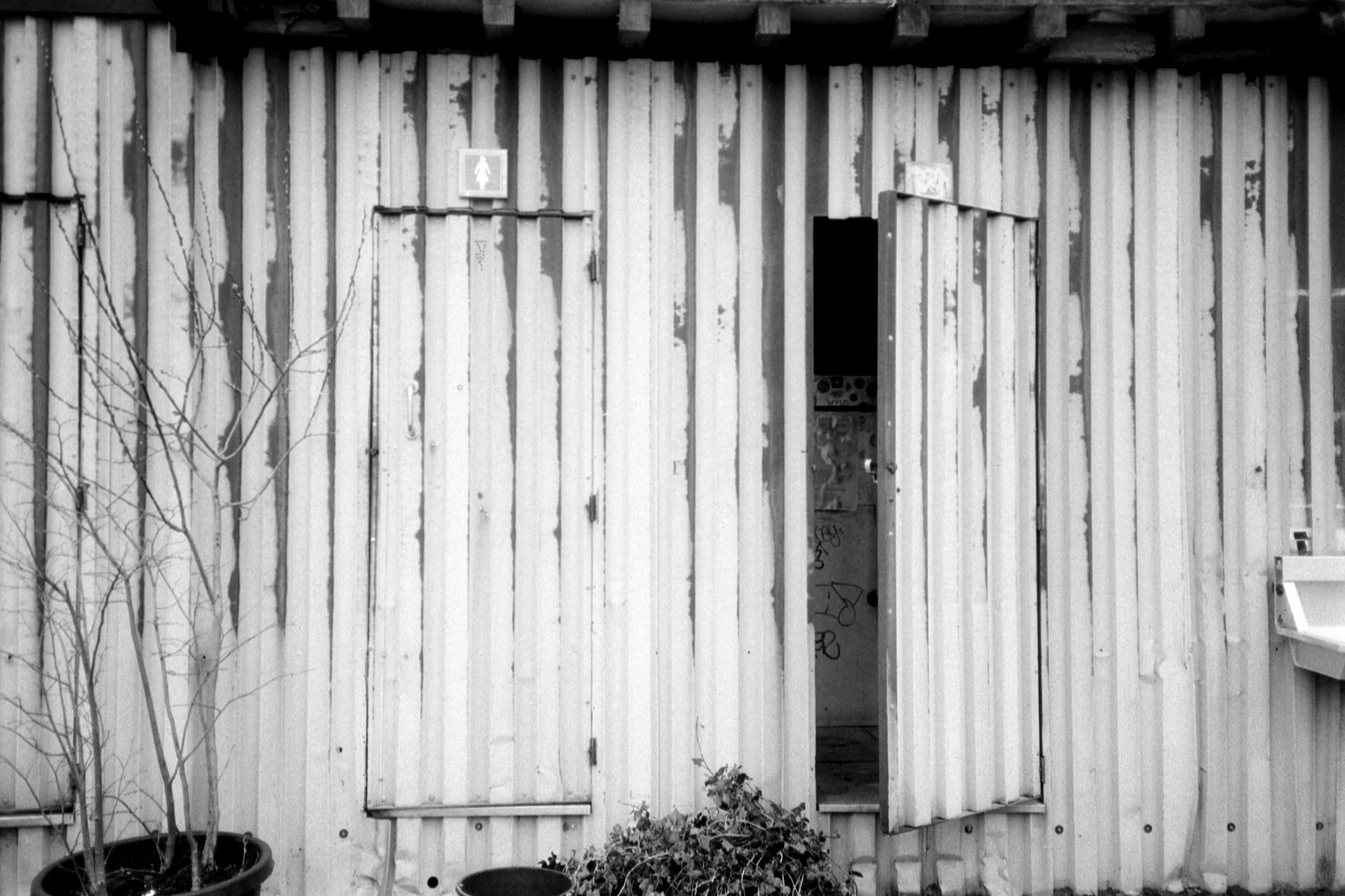 Yashica-Fomapan-0316 Mesnil3.jpg