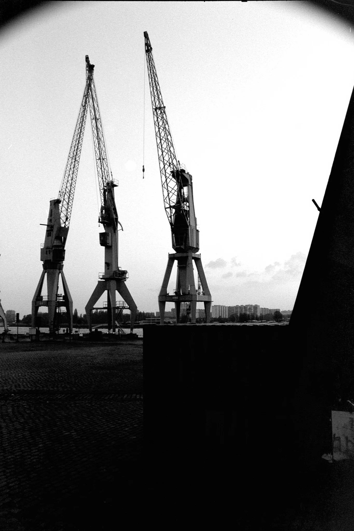 FE-Fomapan200-0589-Apr 21 2023 Mesnil3.jpg