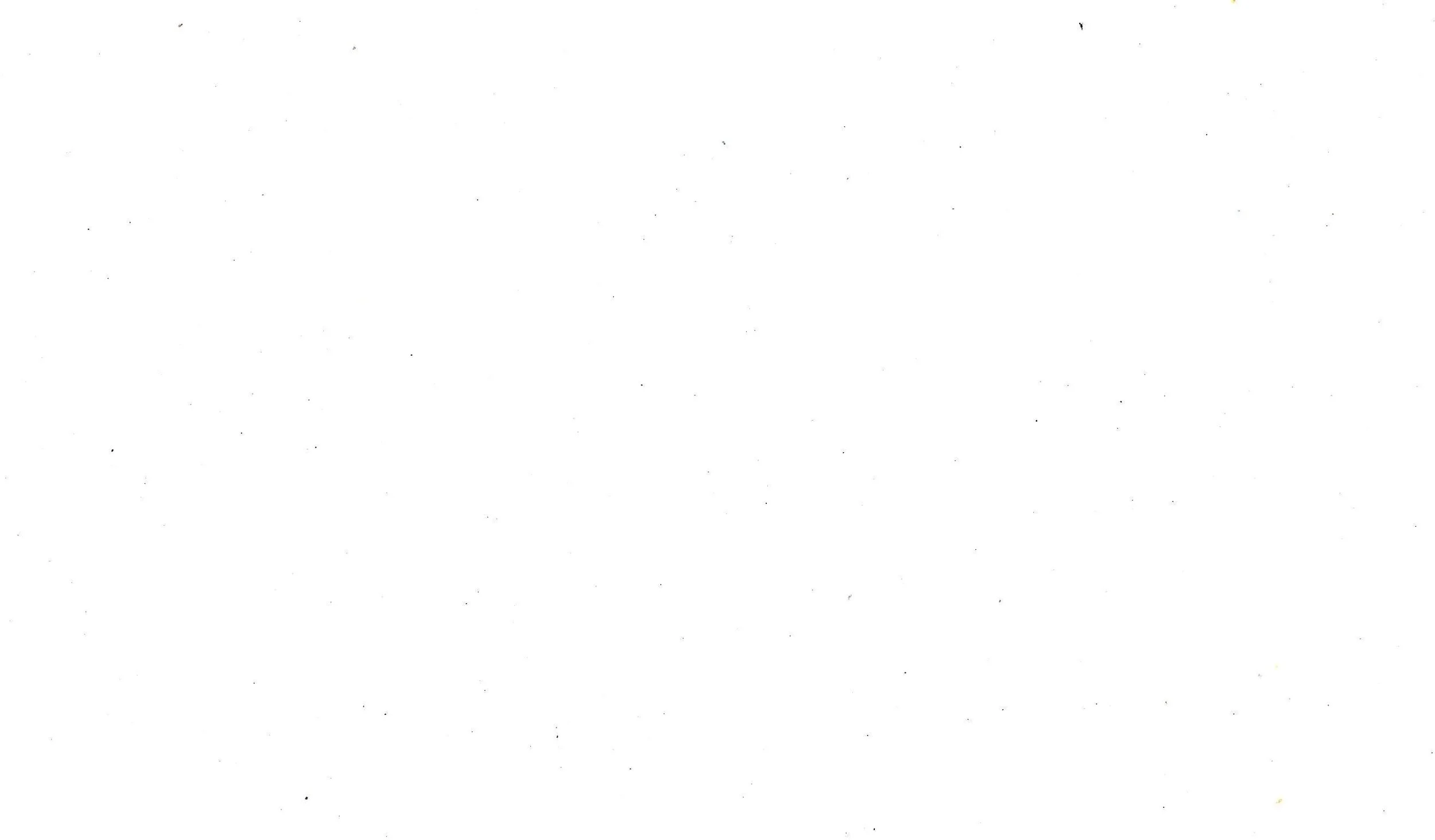 white iva background.jpg