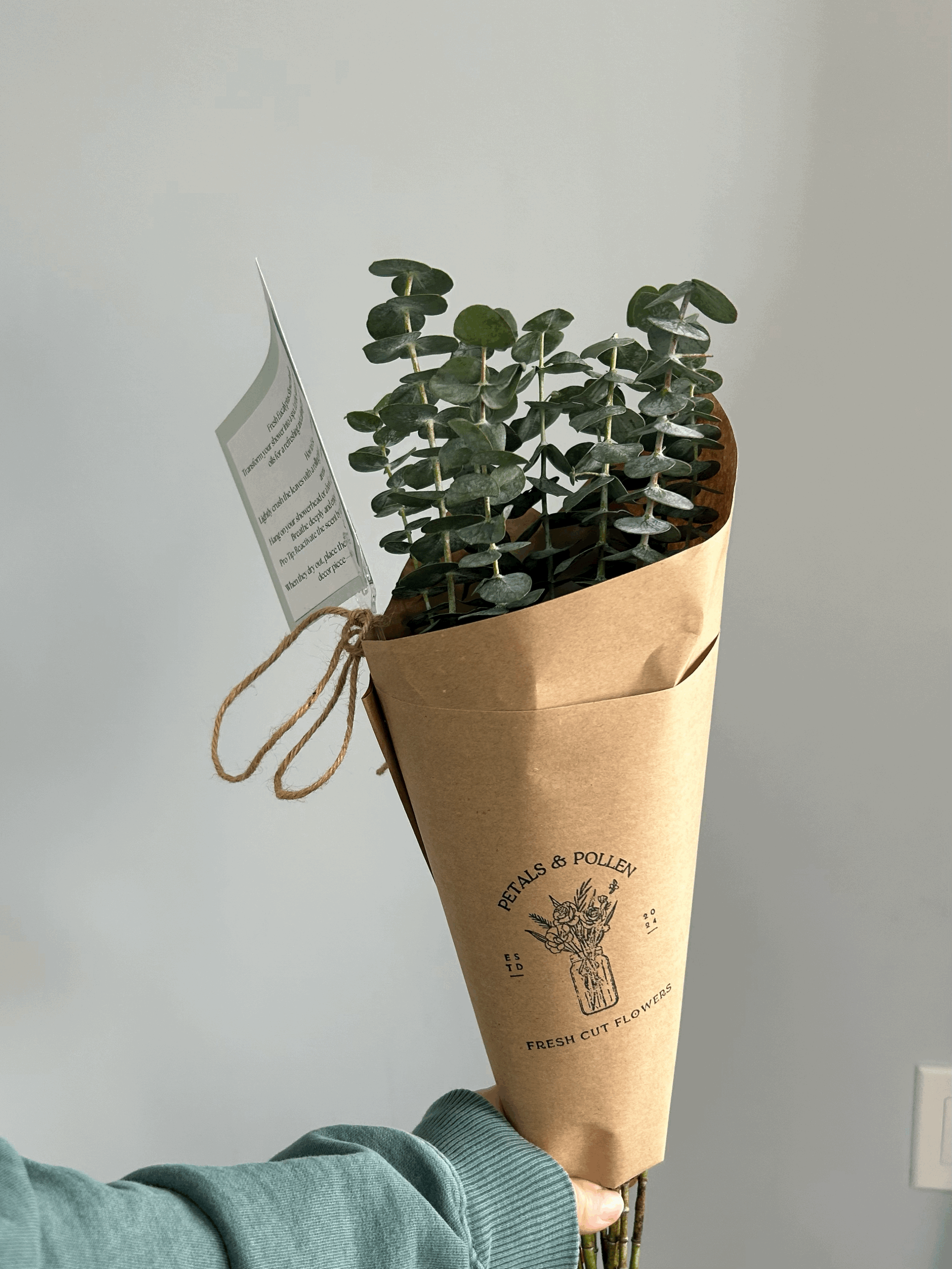Preserved Eucalyptus- small bundle