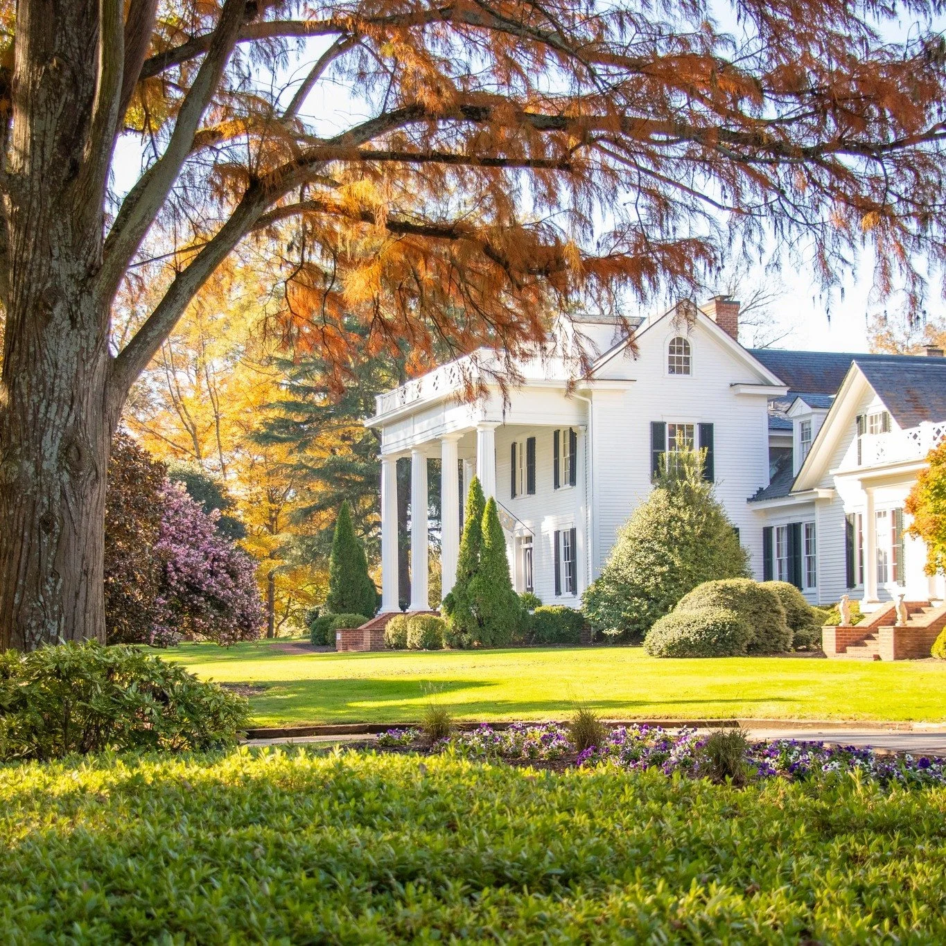 Yesterday was gorgeous day for our fall quarterly meeting... with a show-stunning venue as well!

The staff provided updates to all the amazing things we've accomplished this quarter and what's coming down the line. This quarter we wrapped up the NC 