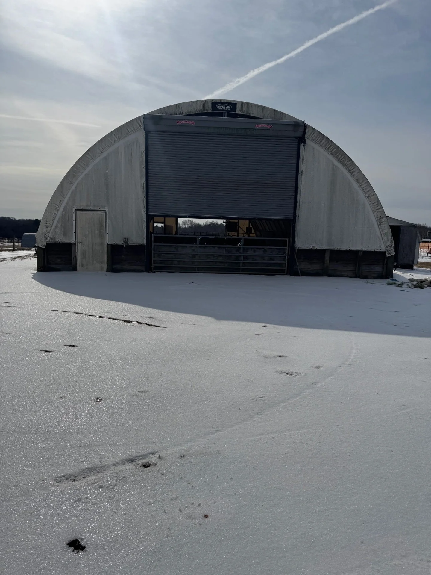 Piggies warm inside ❄️🥰

📍 NC&amp;T

#greensboro #nc #snow #ncsnow #livestockinsnow