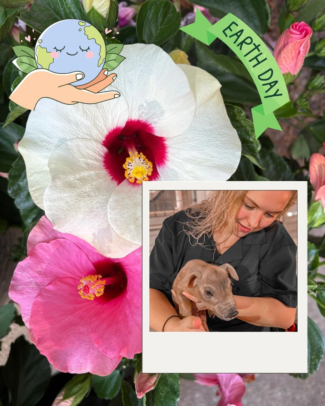 Happy Earth Day! 🌎🌺🐷💕

Our farmers are stewards of this land and nurtures of their animals. Thank you to all of the responsible farmers who give back to the earth day in and day out. 

"Creation reveals the nature of God." Romans 1:20 
