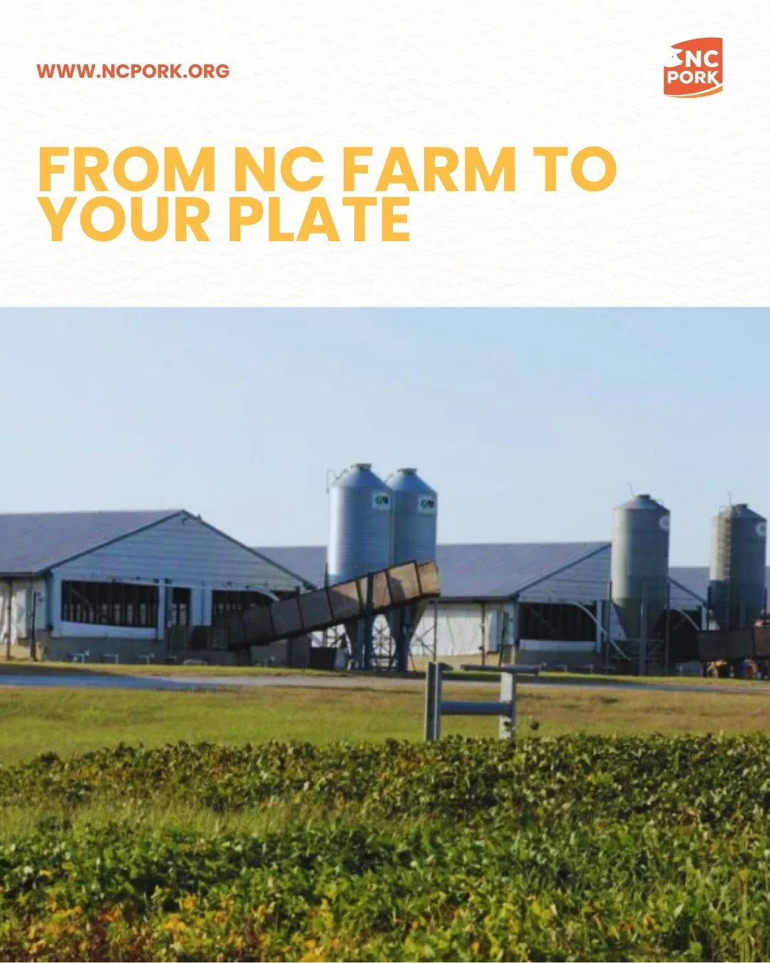 Most people see pork at the grocery store or on the dinner table.
What they don&rsquo;t see is everything behind it.

In North Carolina, that journey starts on family farms across the state,
moves through local processing, and ends up in kitchens, re