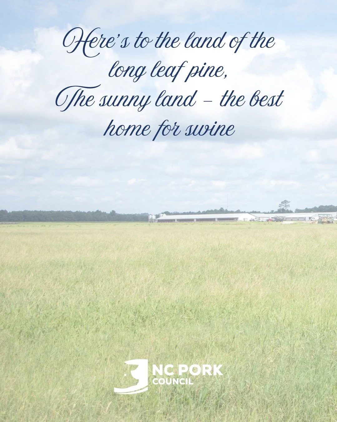 We might be biased, but...☀🐖🌲🍠

#nc #oldnorthstate #bbq