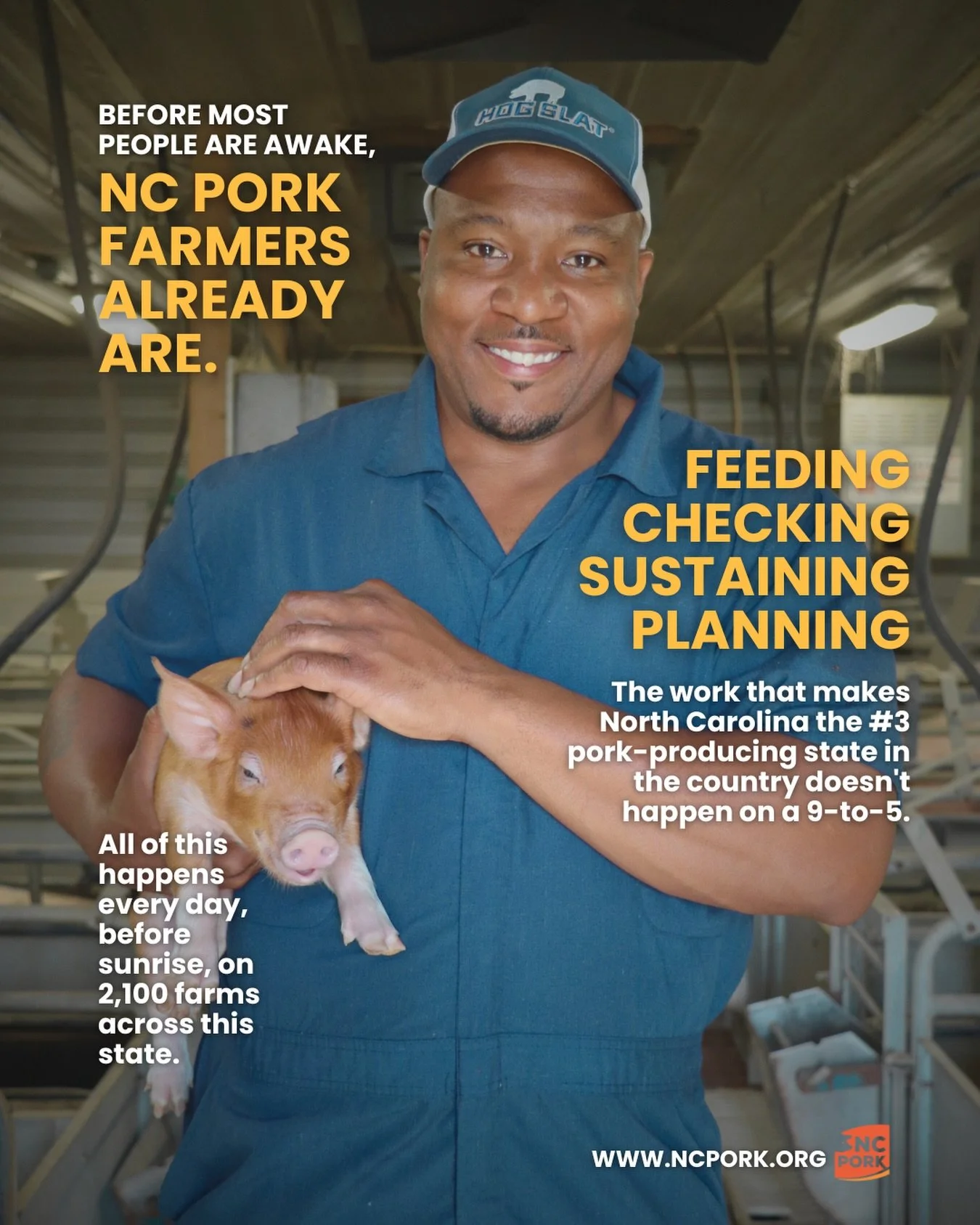 Across 2,100 farms in this state, NC pork farmers are already at work before sunrise. Feeding. Checking. Sustaining. Planning. It is this daily commitment that keeps North Carolina ranked as the third largest pork-producing state in the country. This