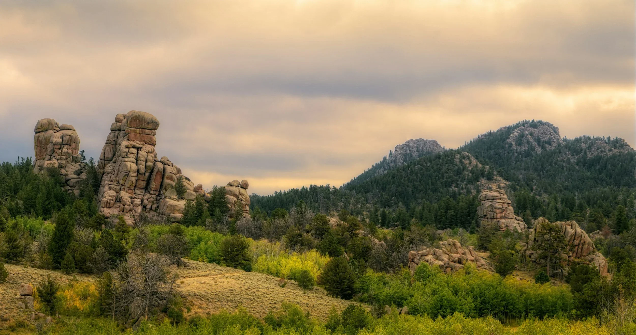 Wyoming Criminal Defense Attorney Rogers & Garvie