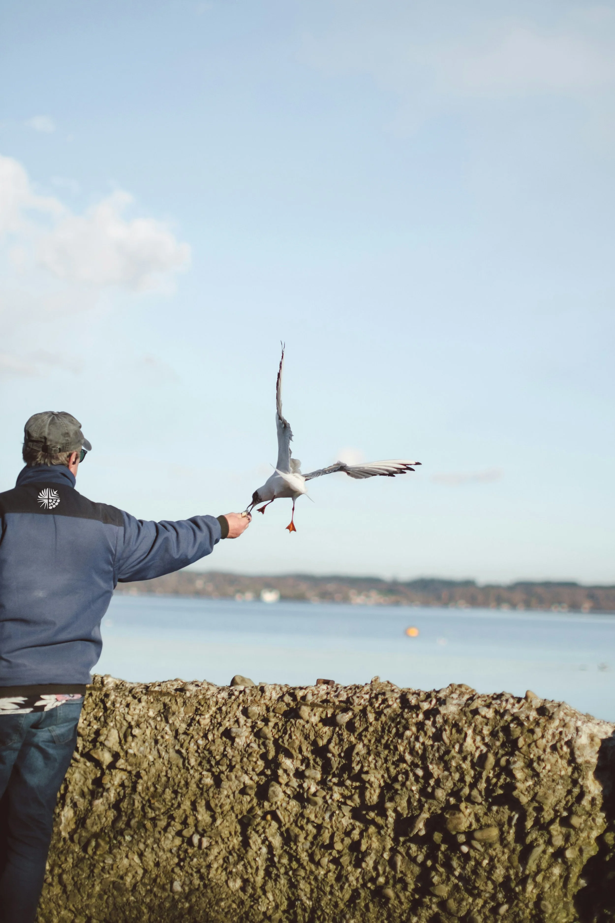 Audubon Newhall Preserve