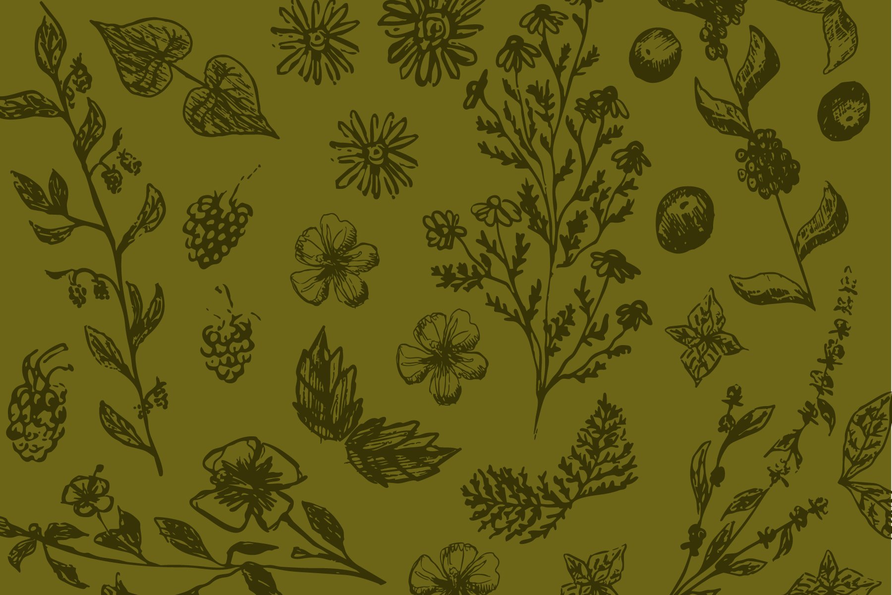 brandimages_Artboard 11.jpg