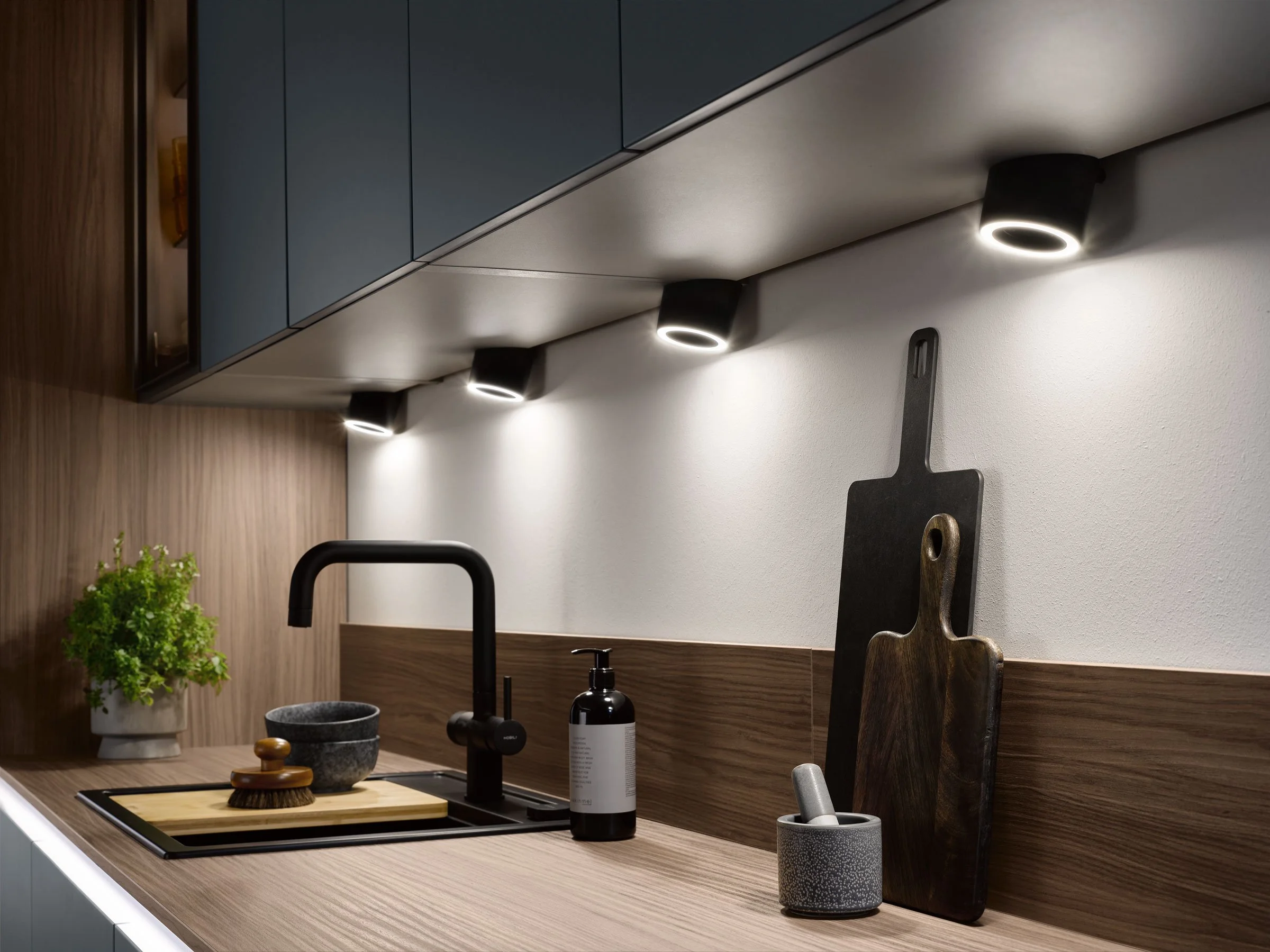 Modern kitchen with black countertop, gold and black brushes, potted green plant, cutting boards on wall, black faucet, soap dispenser, and overhead lighting.