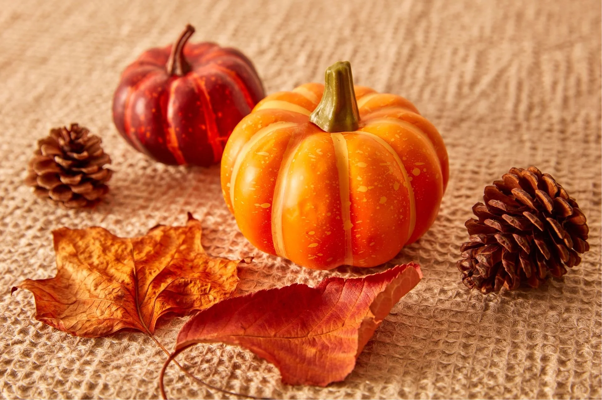 pumpkin and pinecone fall decorations