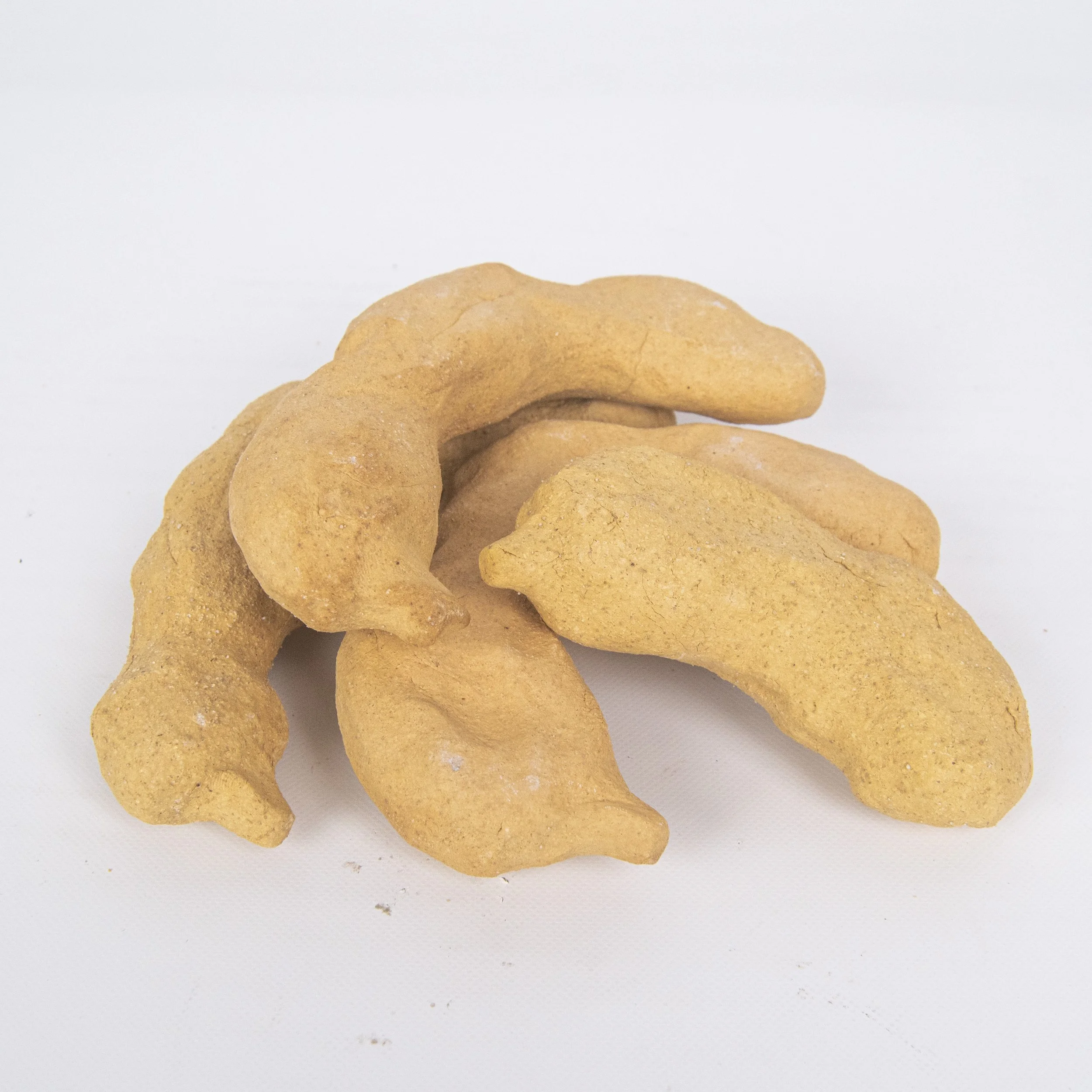 Tamarind Group.JPG